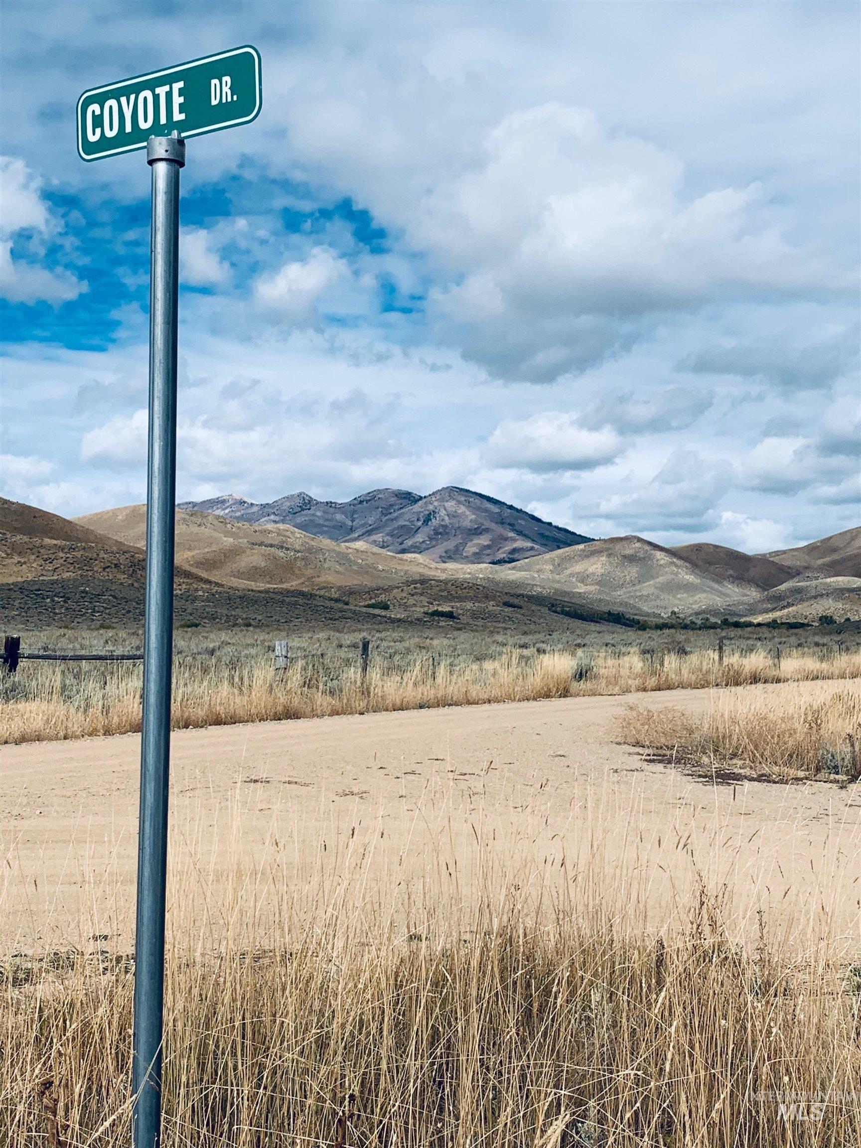 1 Coyote Drive, Fairfield, Idaho 83327, Land For Sale, Price $125,000, 98983627