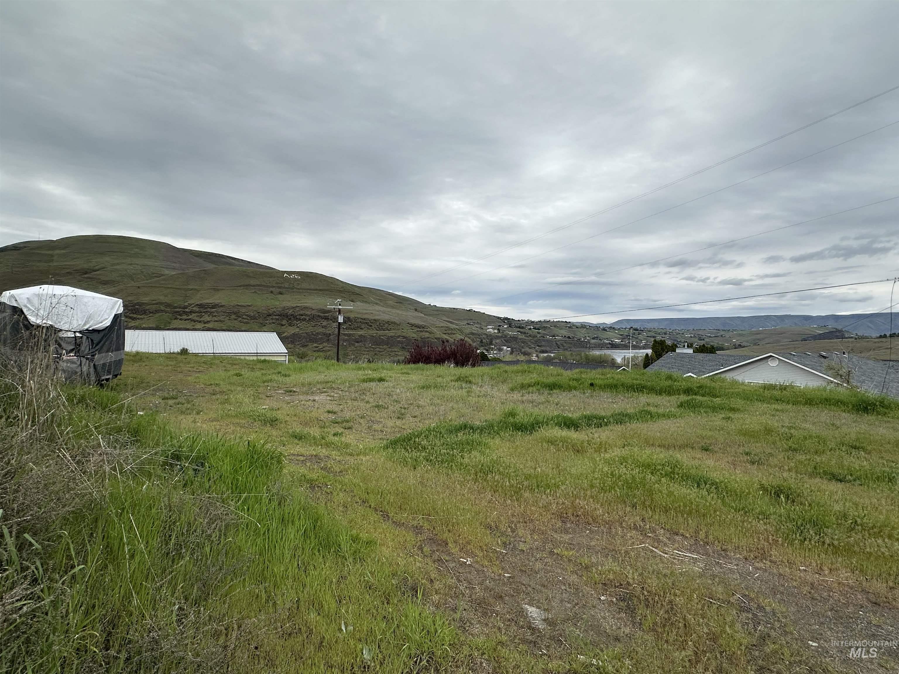 318 Kings Lane, Asotin, Washington 99402, Land For Sale, Price $94,900, 98983719