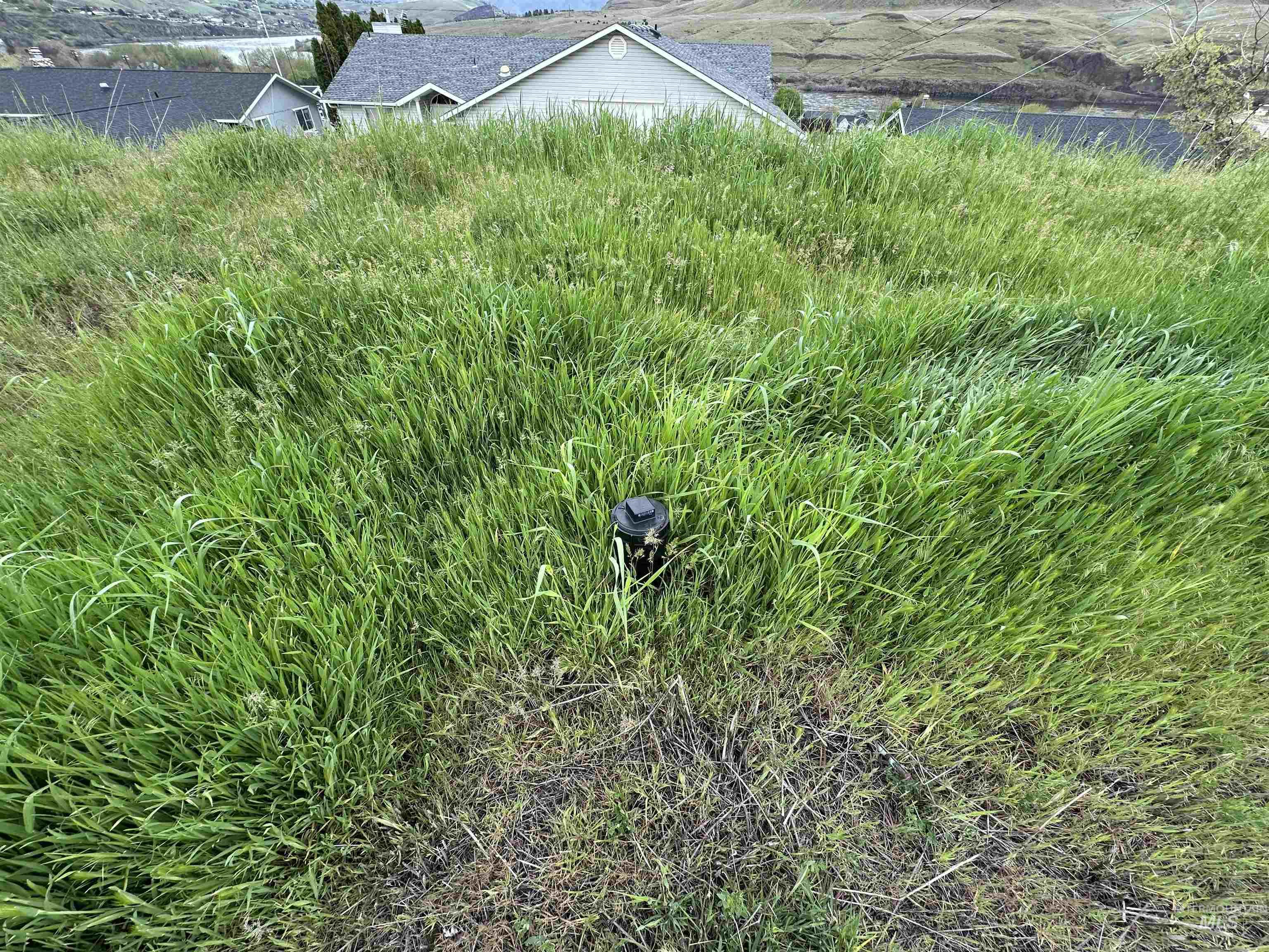 318 Kings Lane, Asotin, Washington 99402, Land For Sale, Price $94,900, 98983719