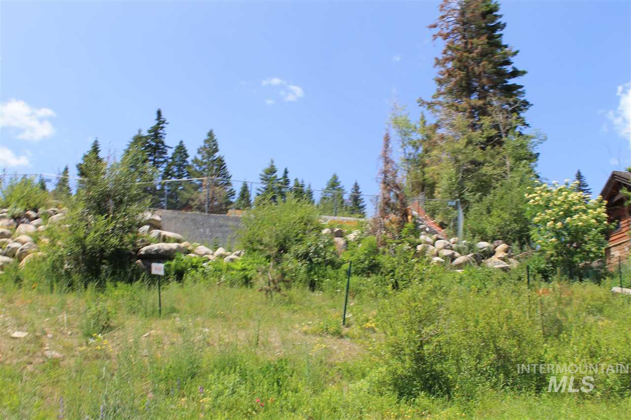541 Whitewater Dr, Donnelly, Idaho 83615, Land For Sale, Price $535,000, 98983738