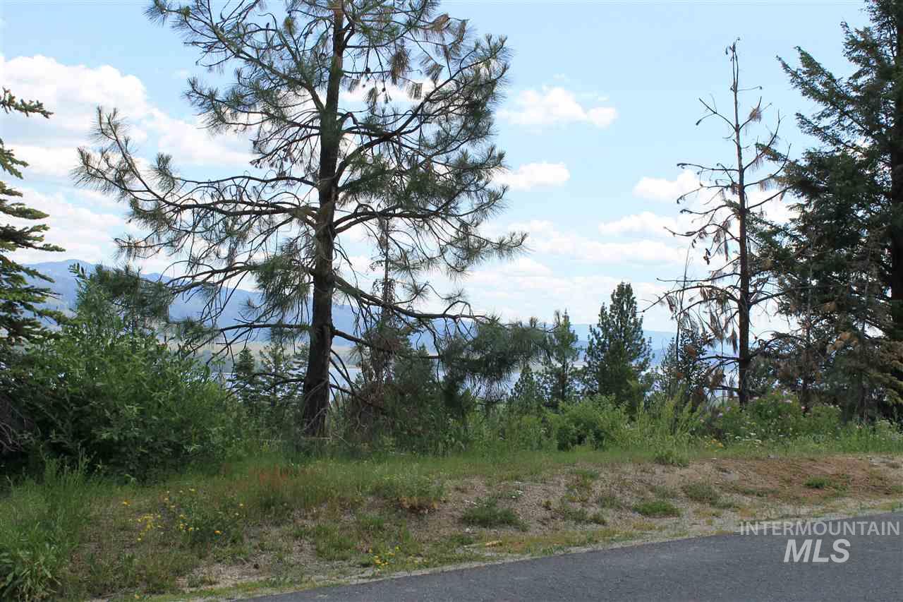 541 Whitewater Dr, Donnelly, Idaho 83615, Land For Sale, Price $535,000, 98983738