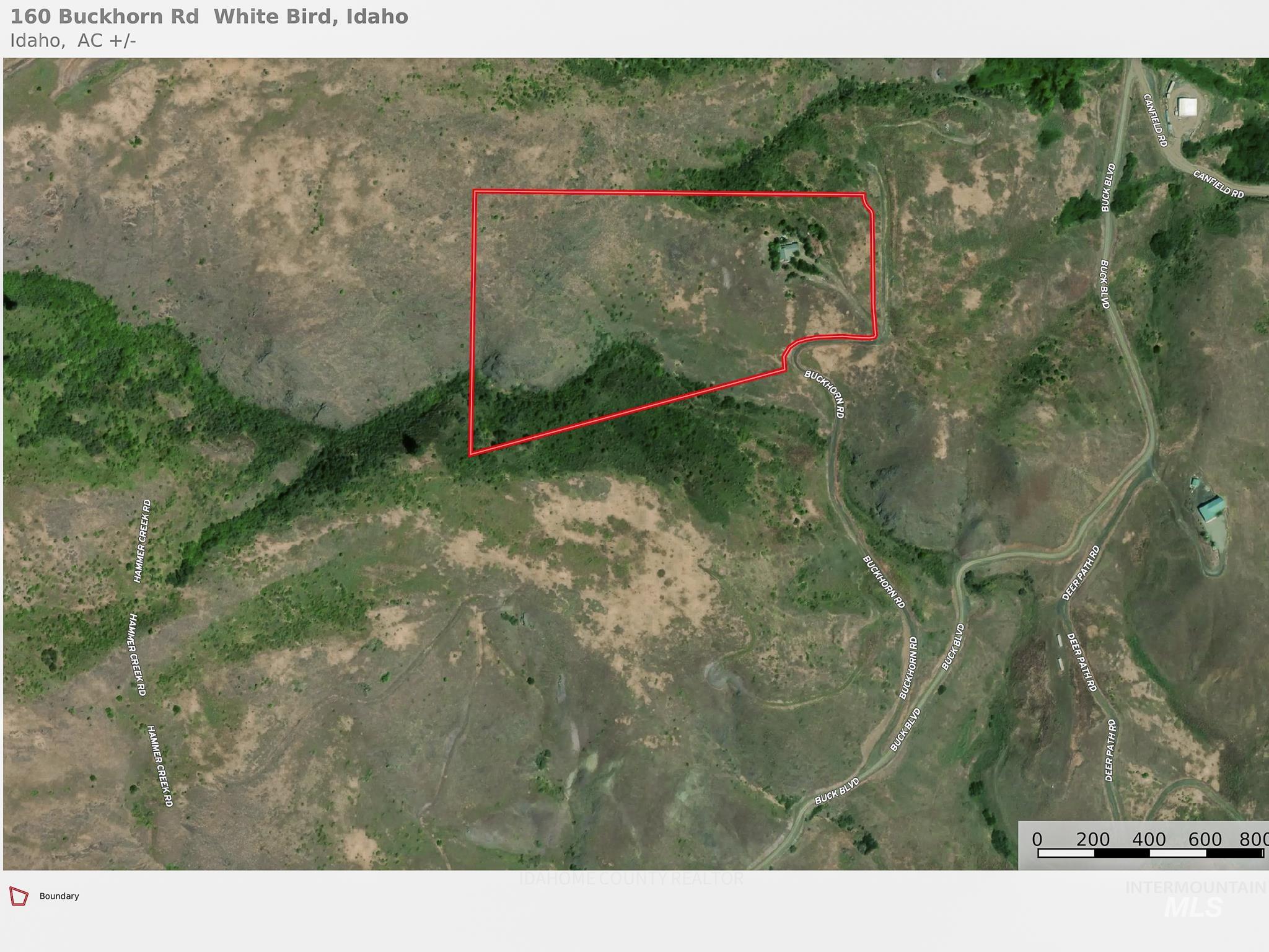 160 Buckhorn Road, White Bird, Idaho 83554, 3 Bedrooms, 3 Bathrooms, Residential For Sale, Price $629,000, 98983803