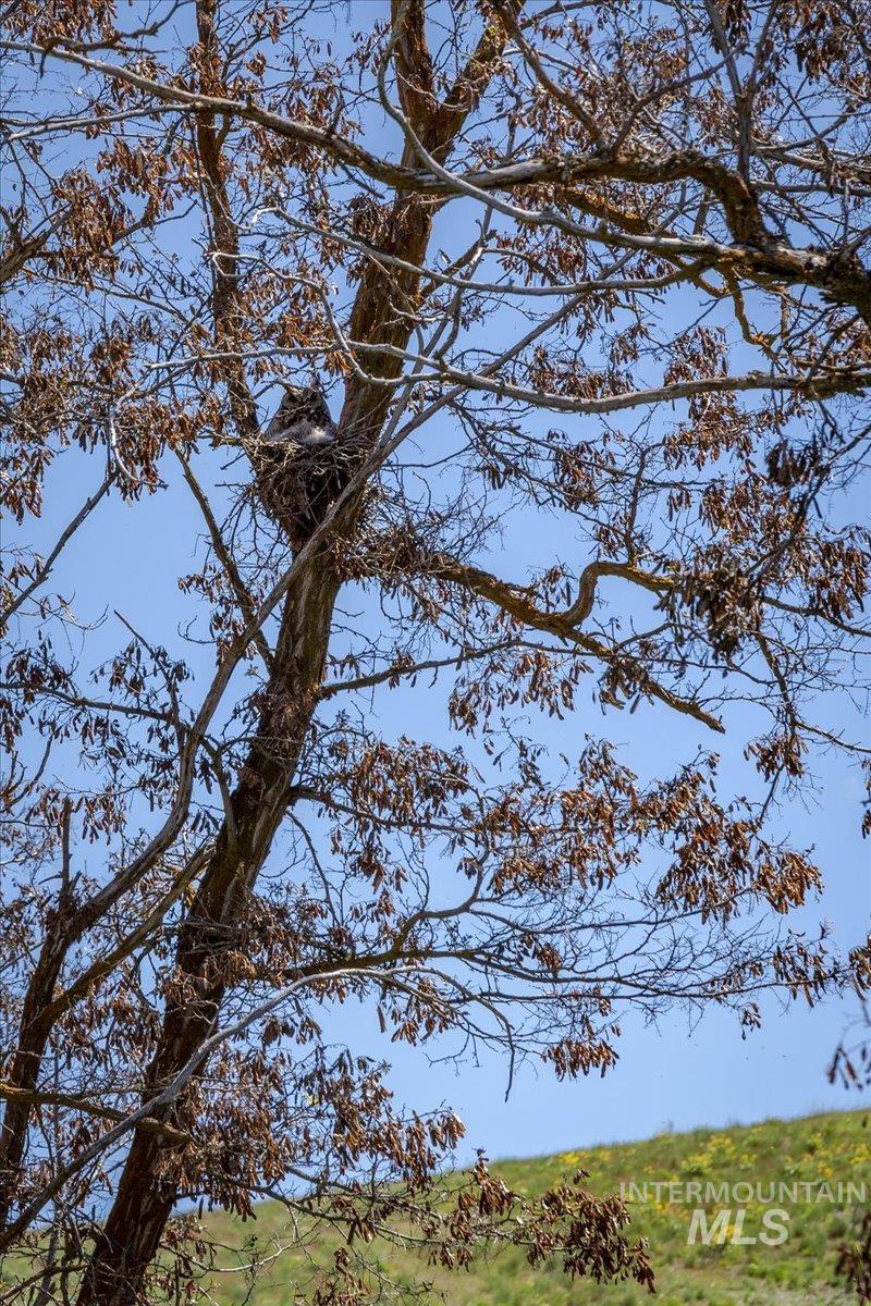 106xx Timber Butte Rd, Sweet, Idaho 83670, Land For Sale, Price $1,550,000, 98983807