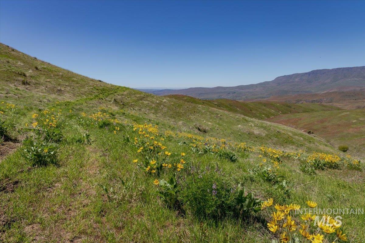 106xx Timber Butte Rd, Sweet, Idaho 83670, Land For Sale, Price $1,550,000, 98983807
