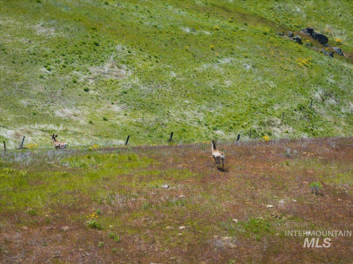 106xx Timber Butte Rd, Sweet, Idaho 83670, Land For Sale, Price $1,550,000, 98983807