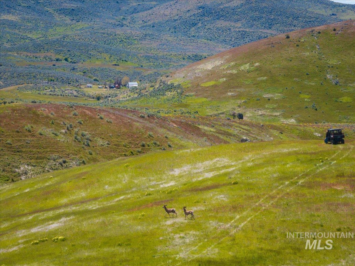 106xx Timber Butte Rd, Sweet, Idaho 83670, Land For Sale, Price $1,550,000, 98983807