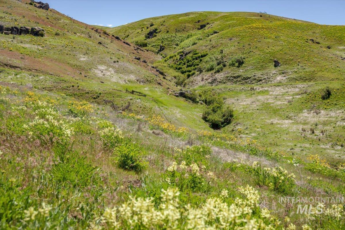 106xx Timber Butte Rd, Sweet, Idaho 83670, Land For Sale, Price $1,550,000, 98983807