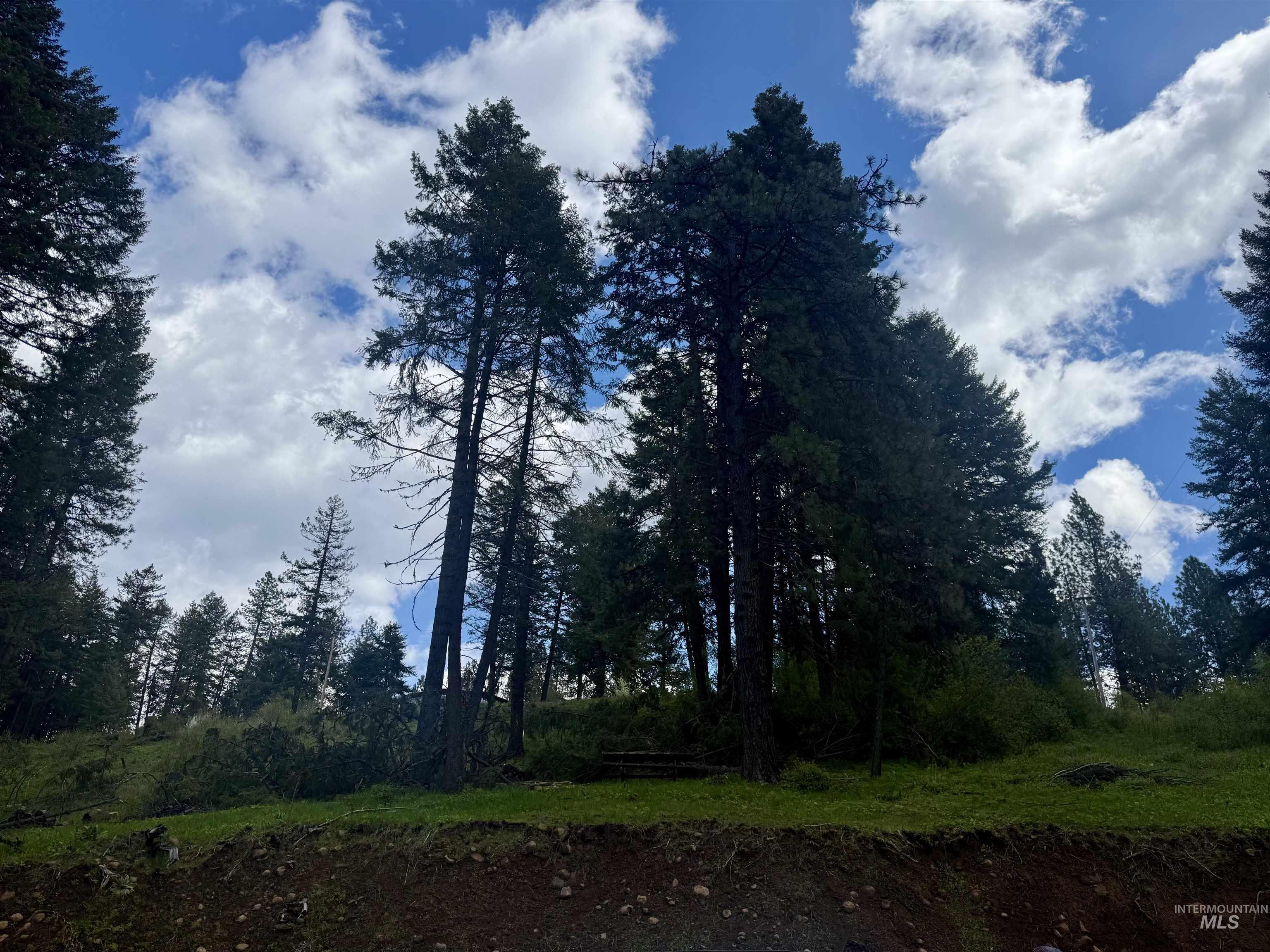 TBD Lakeview Rd, Orofino, Idaho 83544, Land For Sale, Price $150,000,MLS 98983808