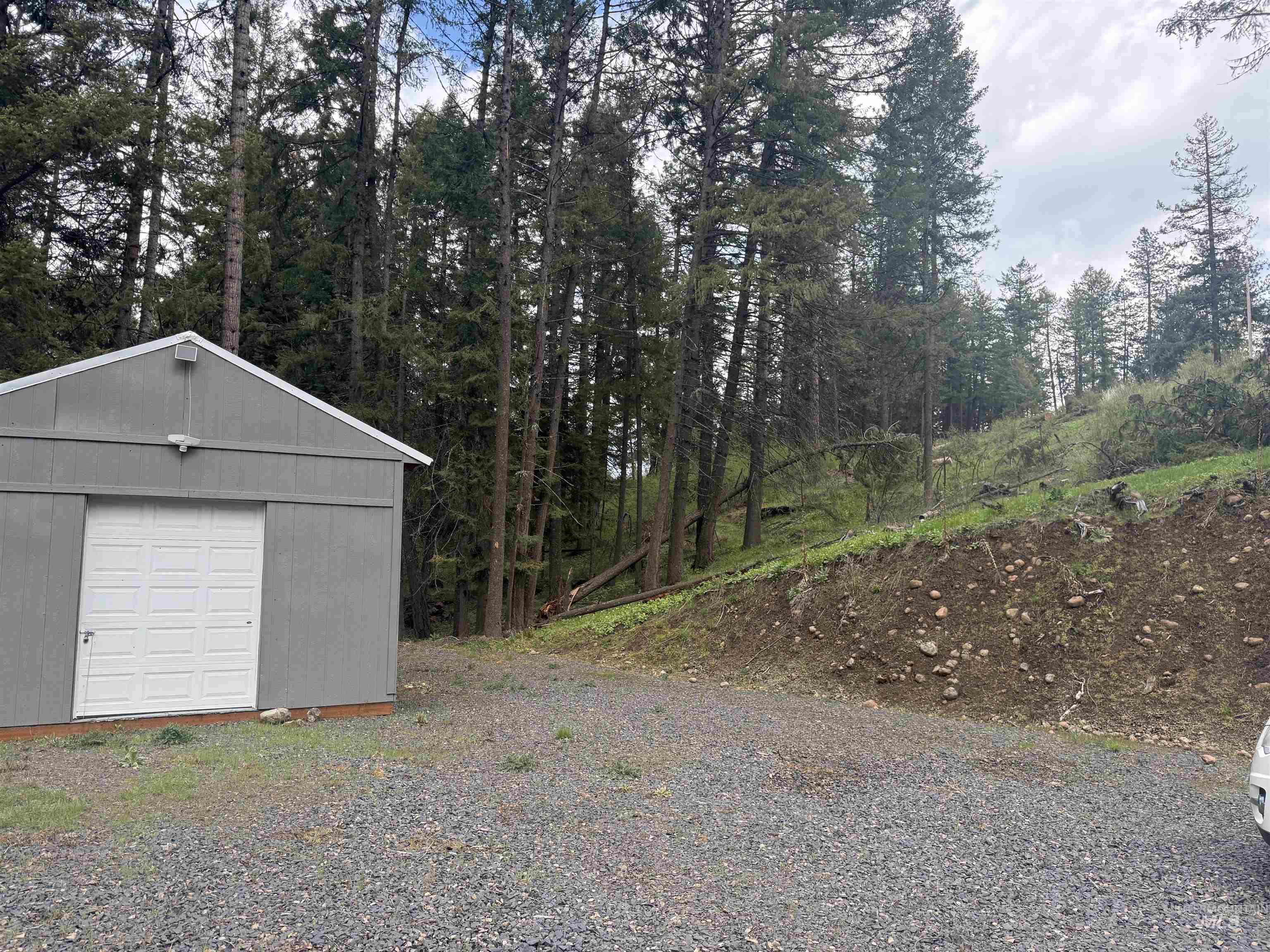 TBD Lakeview Rd, Orofino, Idaho 83544, Land For Sale, Price $150,000, 98983808