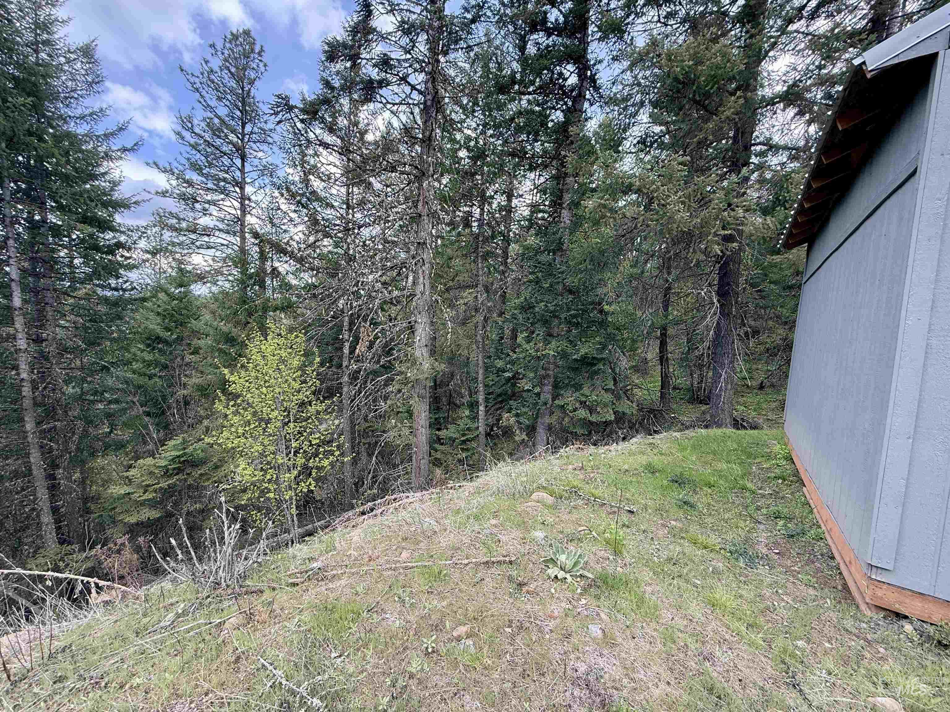 TBD Lakeview Rd, Orofino, Idaho 83544, Land For Sale, Price $150,000, 98983808