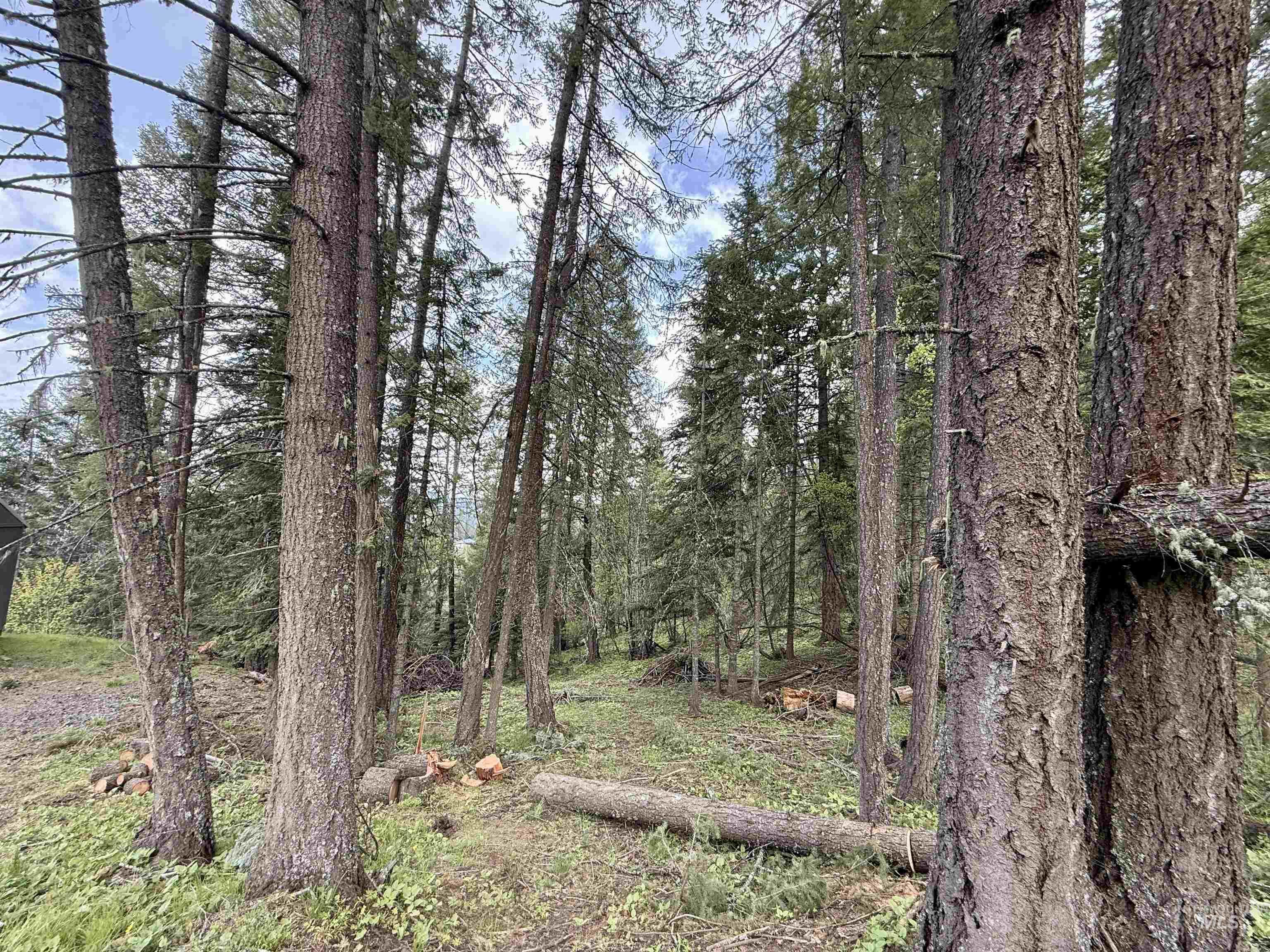 TBD Lakeview Rd, Orofino, Idaho 83544, Land For Sale, Price $150,000, 98983808