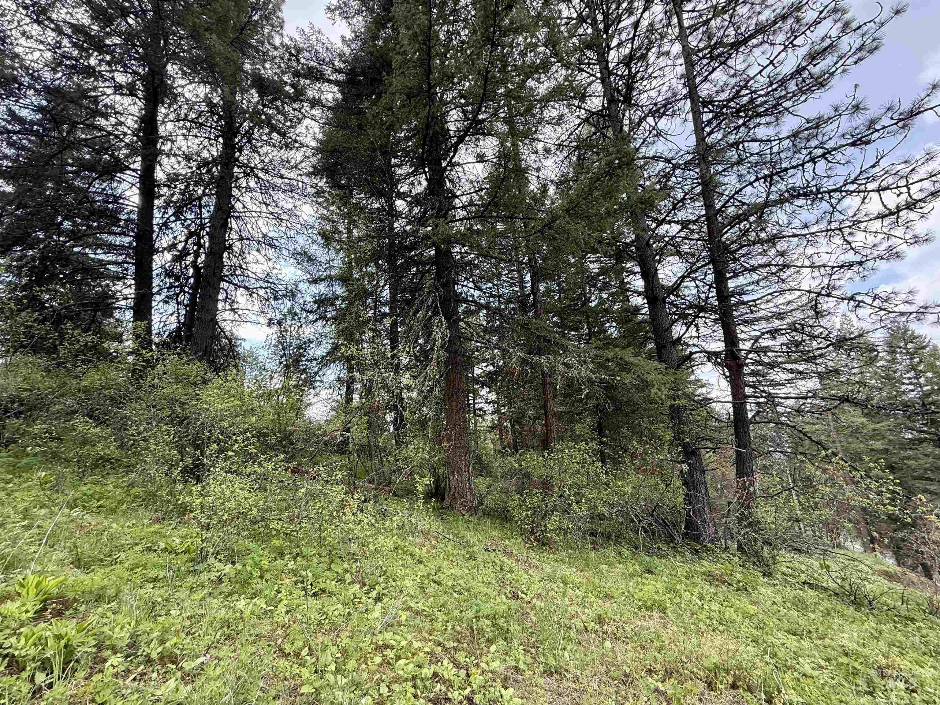 TBD Lakeview Rd, Orofino, Idaho 83544, Land For Sale, Price $150,000, 98983808