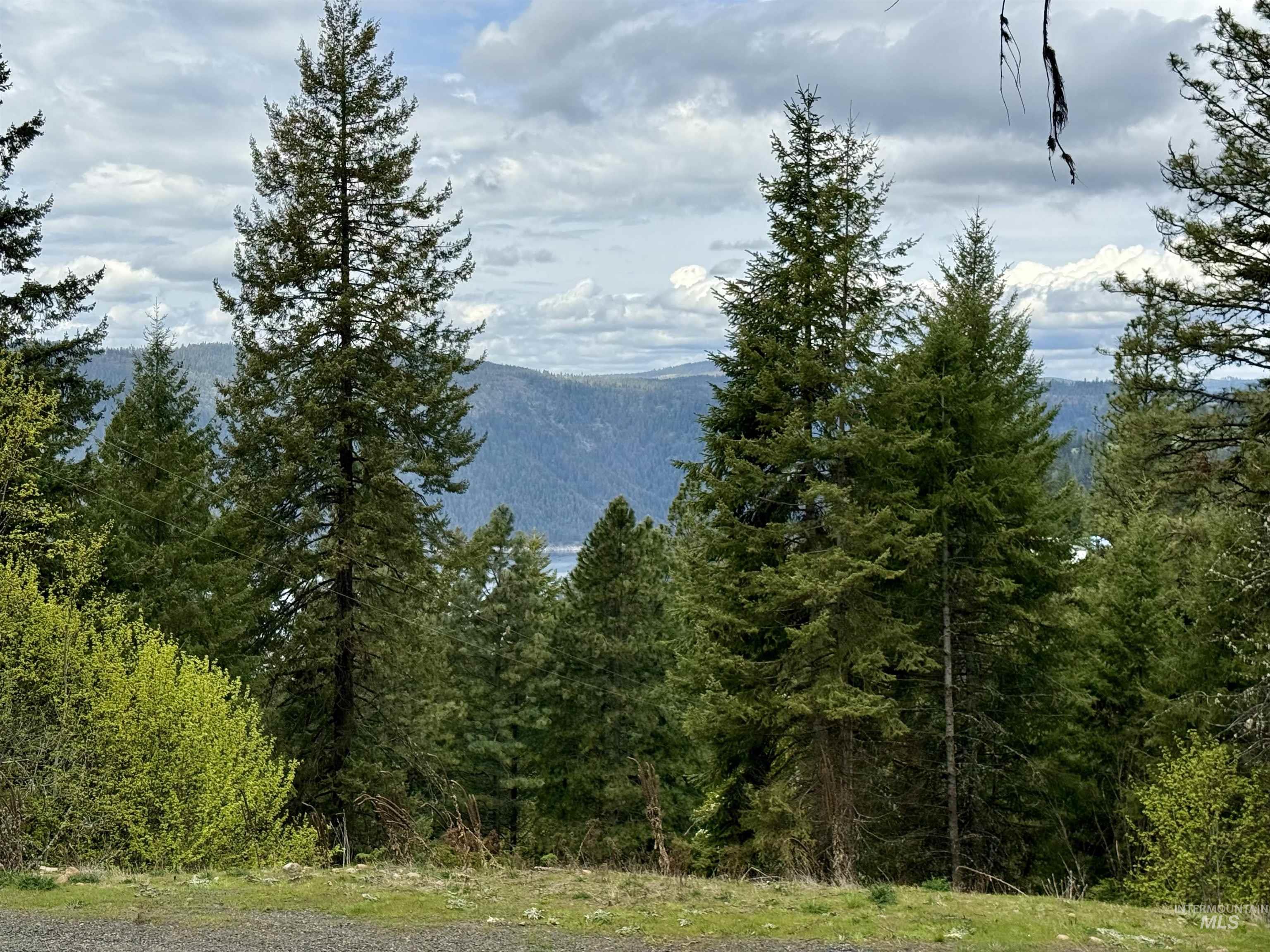TBD Lakeview Rd, Orofino, Idaho 83544, Land For Sale, Price $150,000, 98983808