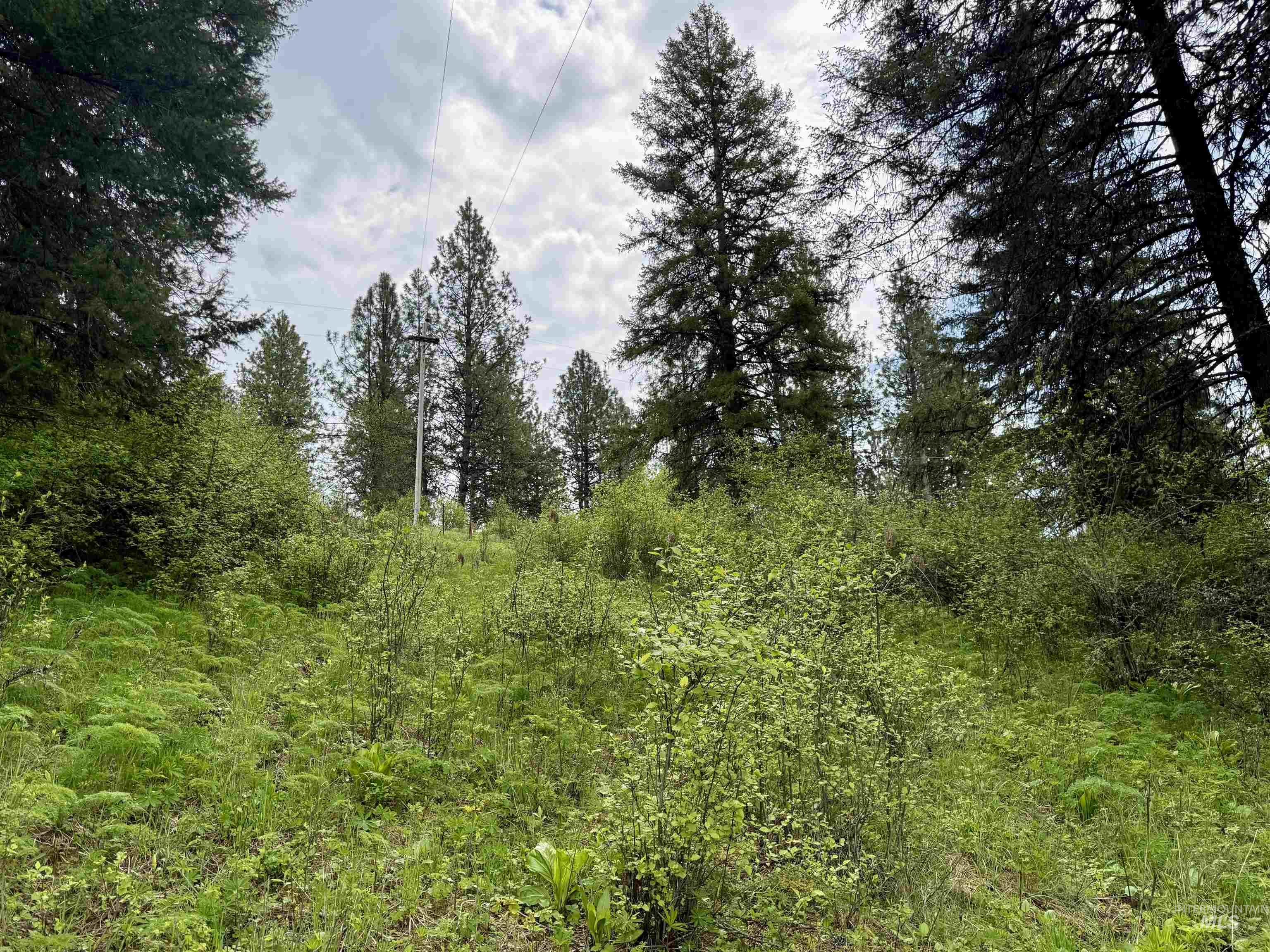 TBD Lakeview Rd, Orofino, Idaho 83544, Land For Sale, Price $150,000, 98983808