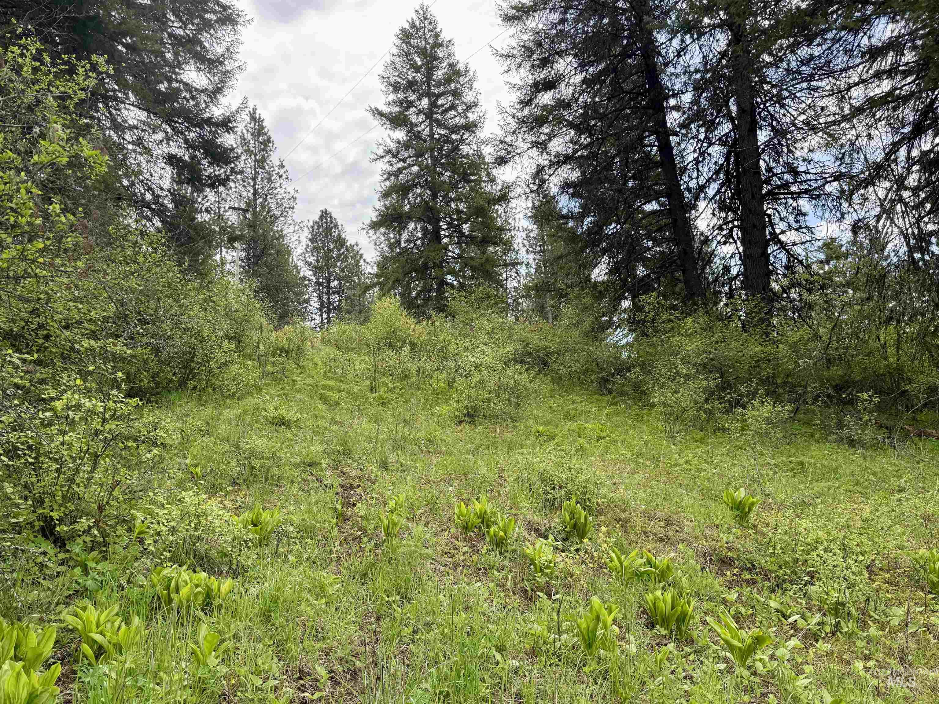 TBD Lakeview Rd, Orofino, Idaho 83544, Land For Sale, Price $150,000, 98983808