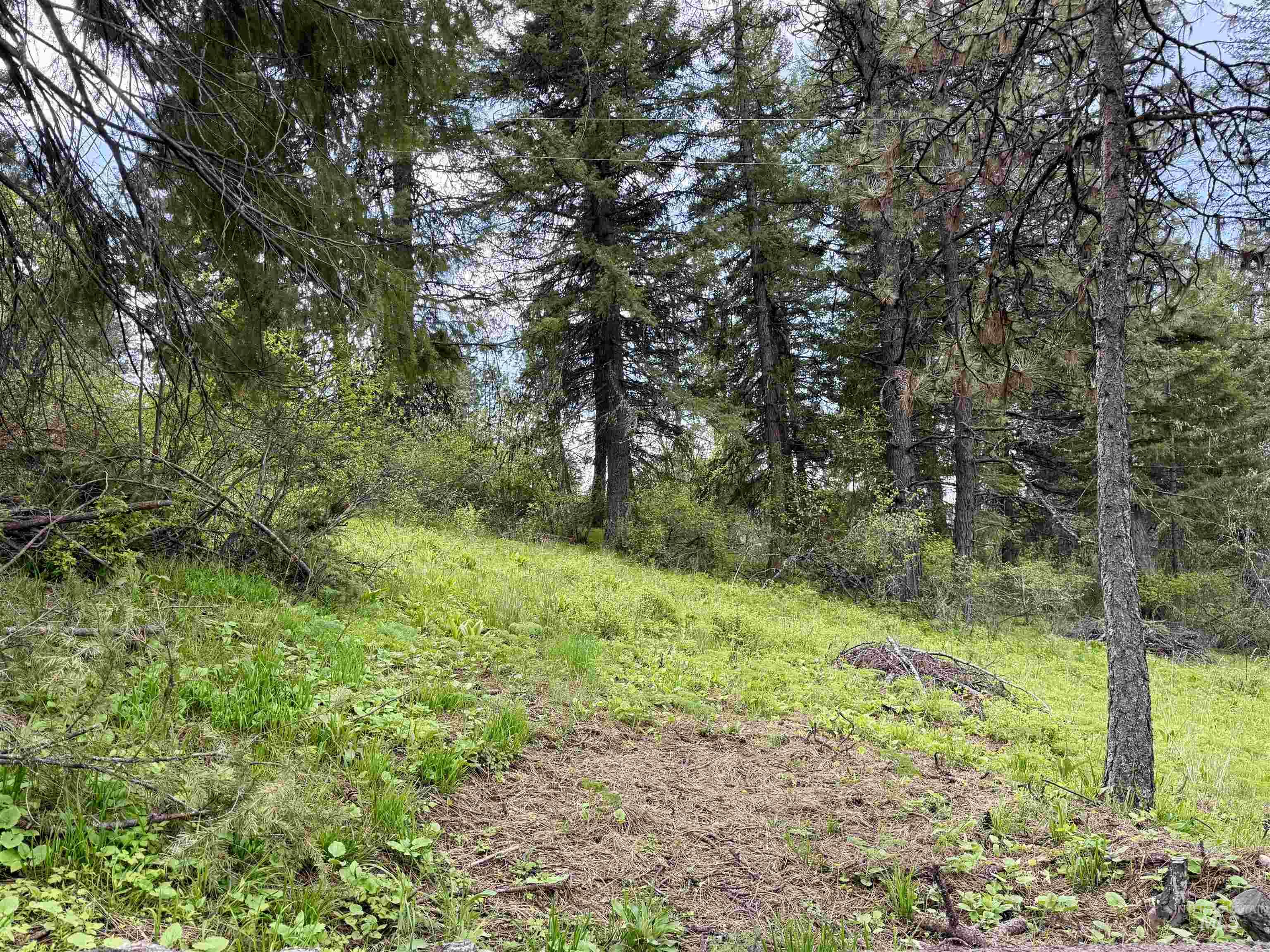 TBD Lakeview Rd, Orofino, Idaho 83544, Land For Sale, Price $150,000, 98983808