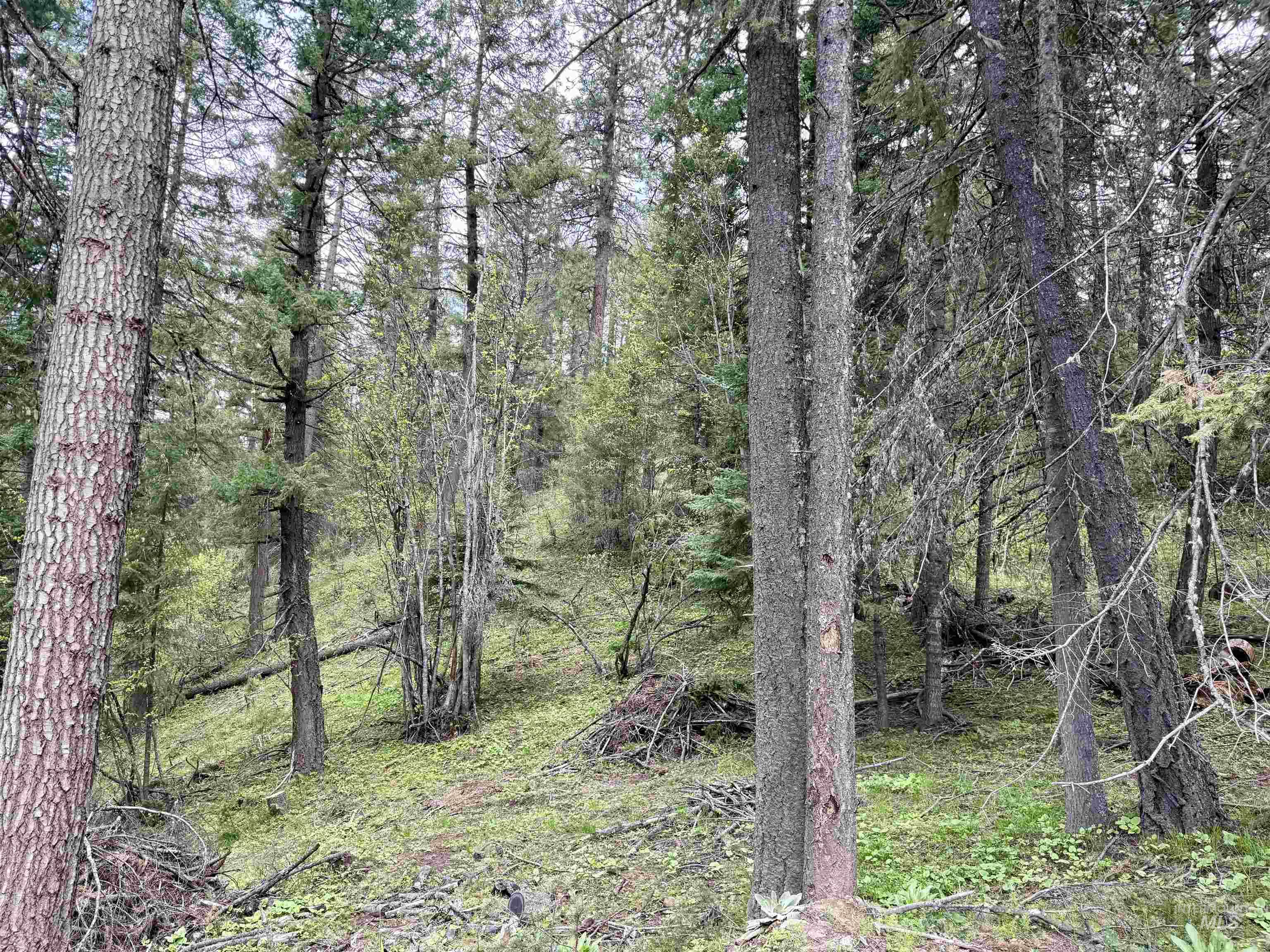 TBD Lakeview Rd, Orofino, Idaho 83544, Land For Sale, Price $150,000, 98983808
