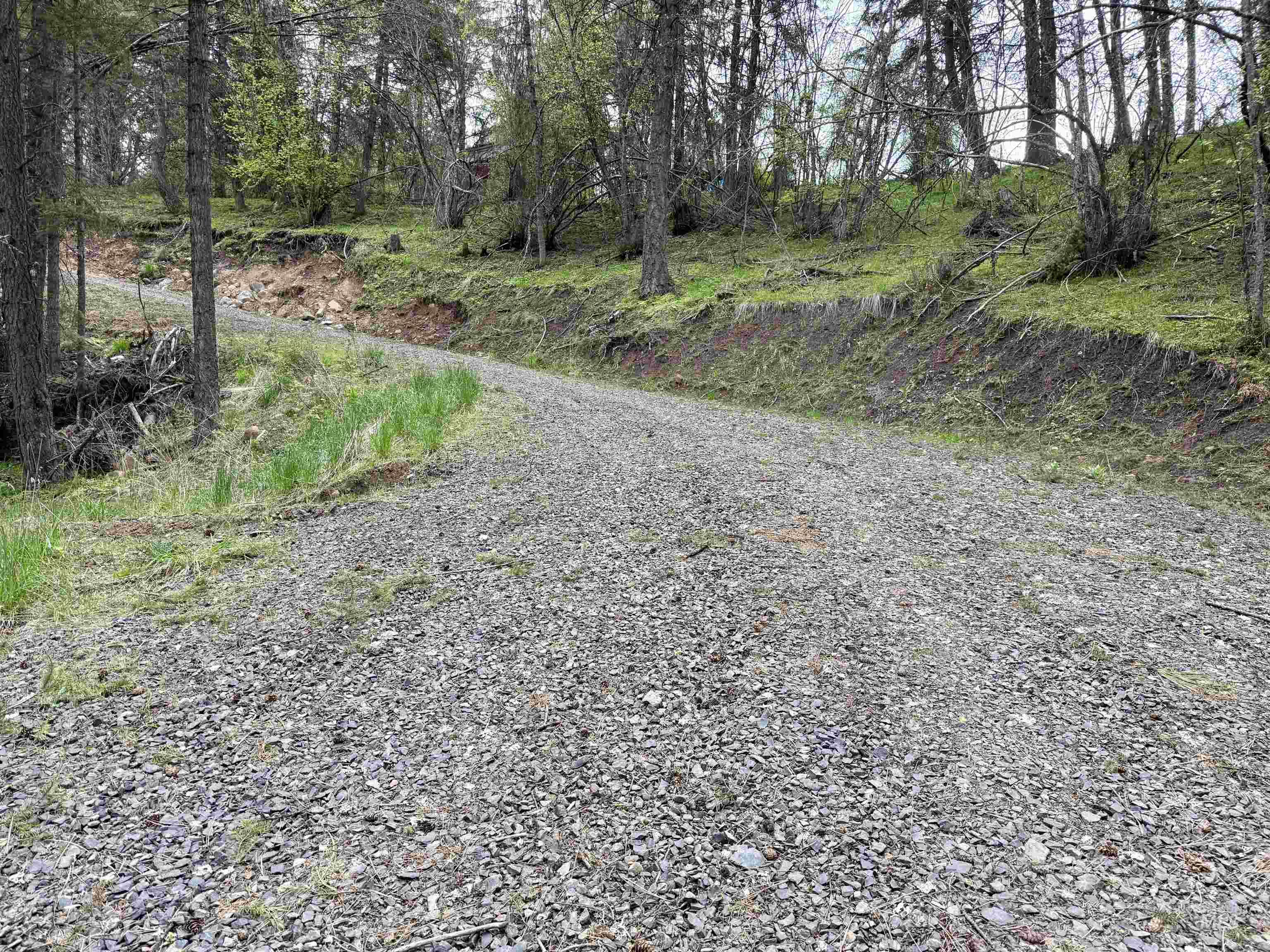 TBD Lakeview Rd, Orofino, Idaho 83544, Land For Sale, Price $150,000, 98983808