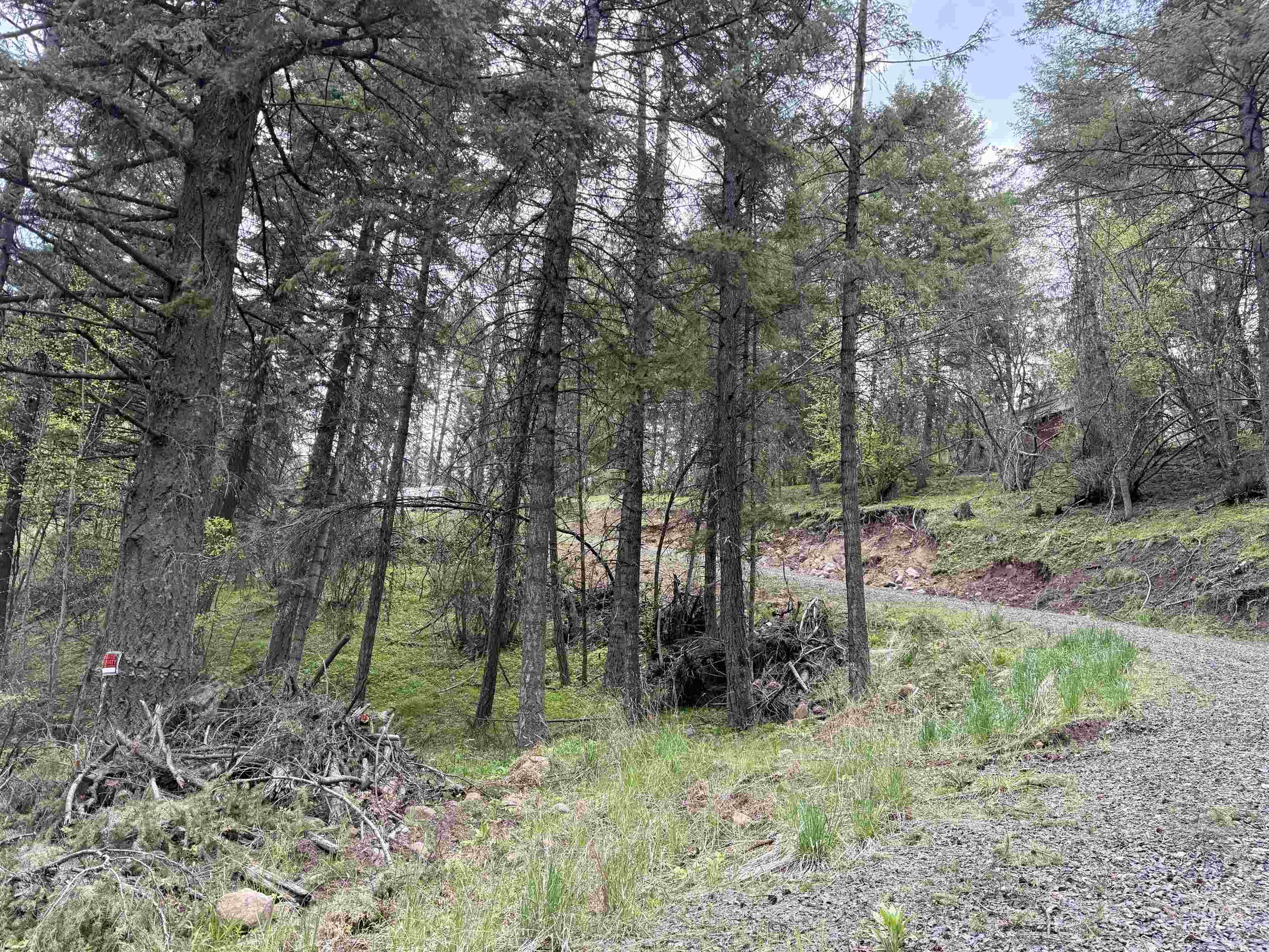 TBD Lakeview Rd, Orofino, Idaho 83544, Land For Sale, Price $150,000, 98983808