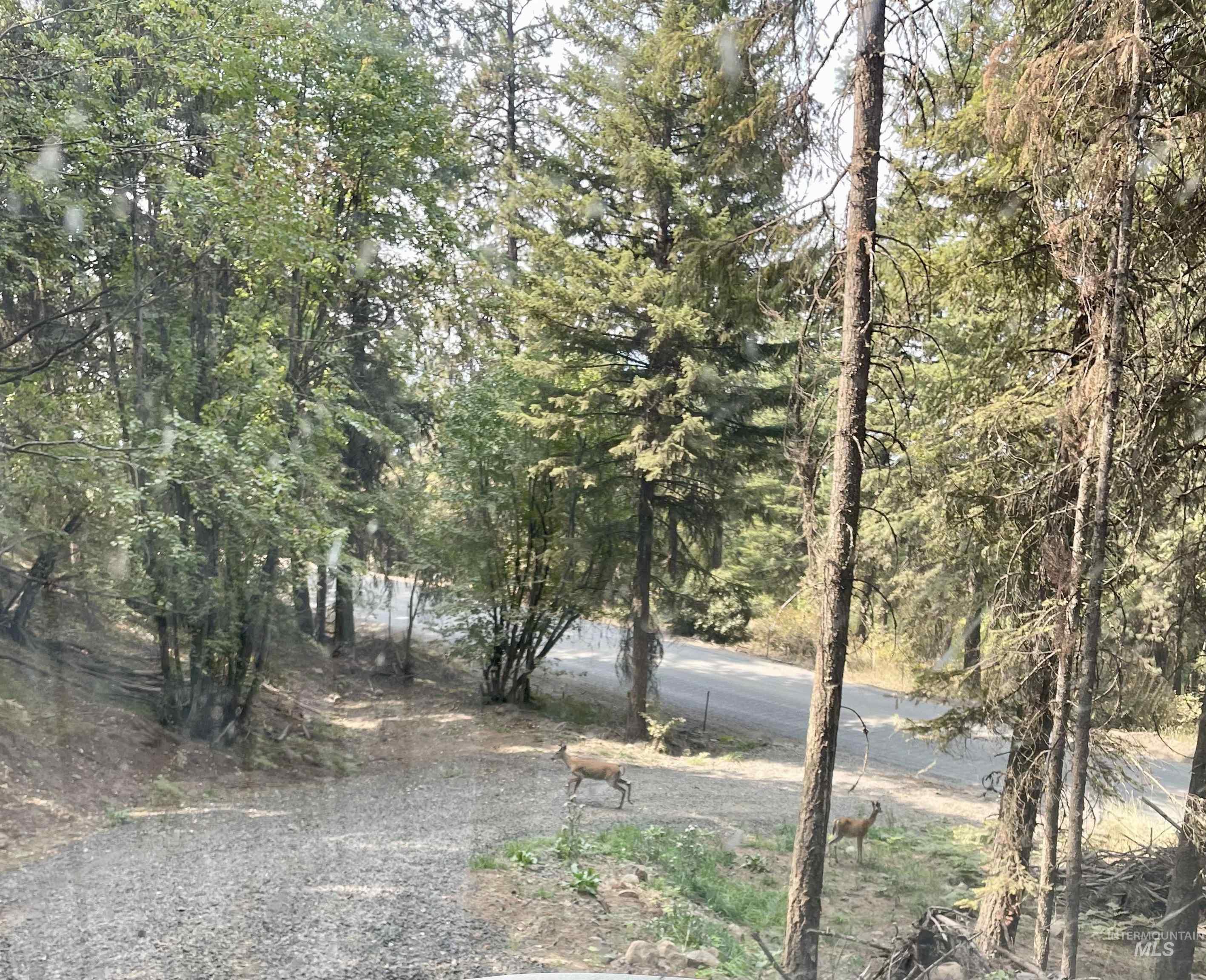 TBD Lakeview Rd, Orofino, Idaho 83544, Land For Sale, Price $150,000, 98983808