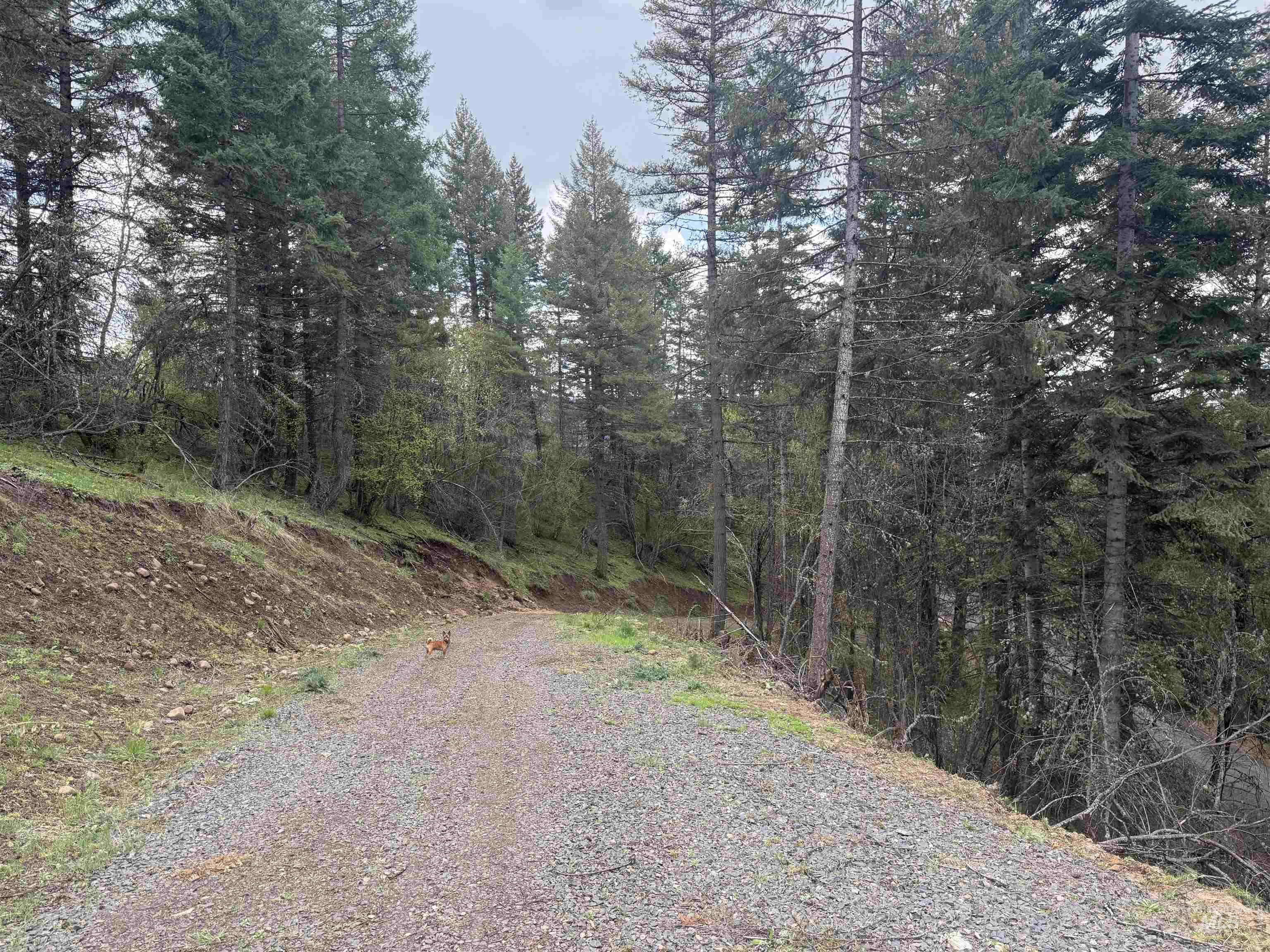 TBD Lakeview Rd, Orofino, Idaho 83544, Land For Sale, Price $150,000, 98983808