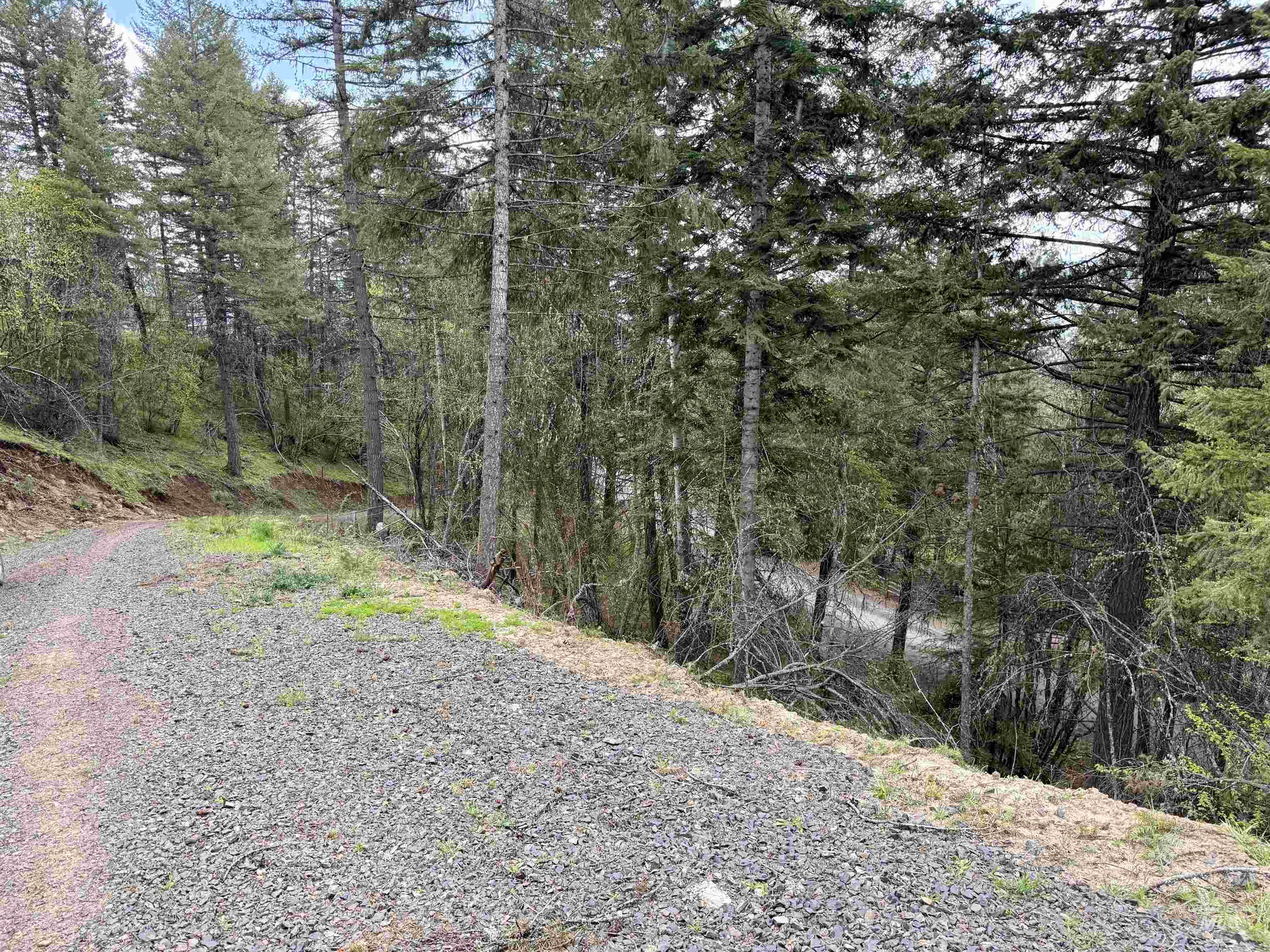 TBD Lakeview Rd, Orofino, Idaho 83544, Land For Sale, Price $150,000, 98983808