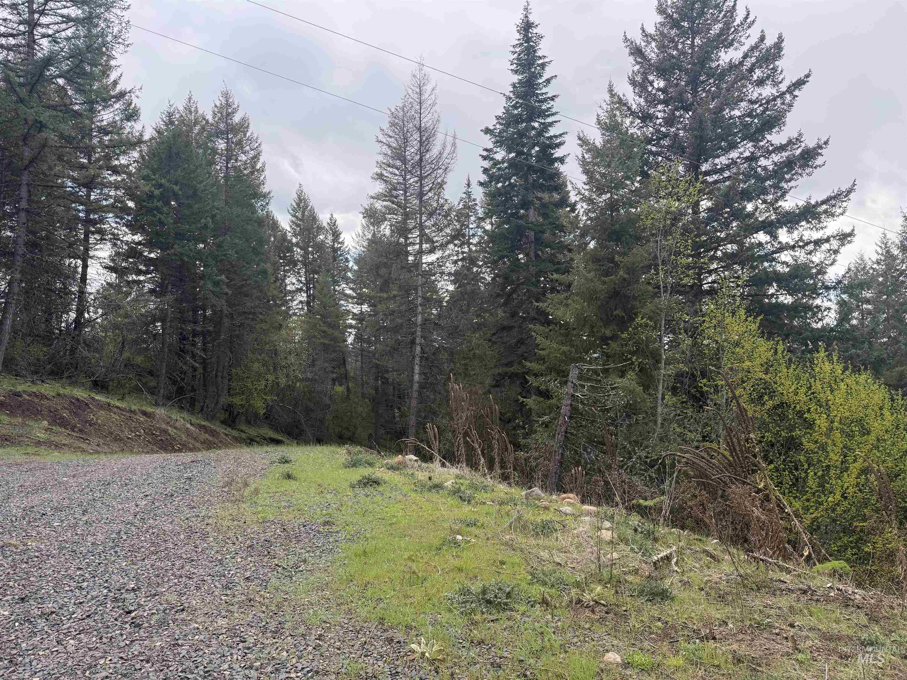 TBD Lakeview Rd, Orofino, Idaho 83544, Land For Sale, Price $150,000, 98983808