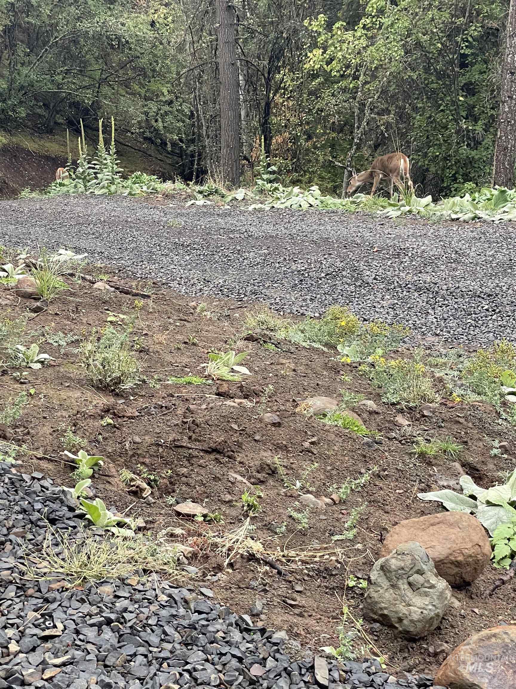 TBD Lakeview Rd, Orofino, Idaho 83544, Land For Sale, Price $150,000,MLS 98983808