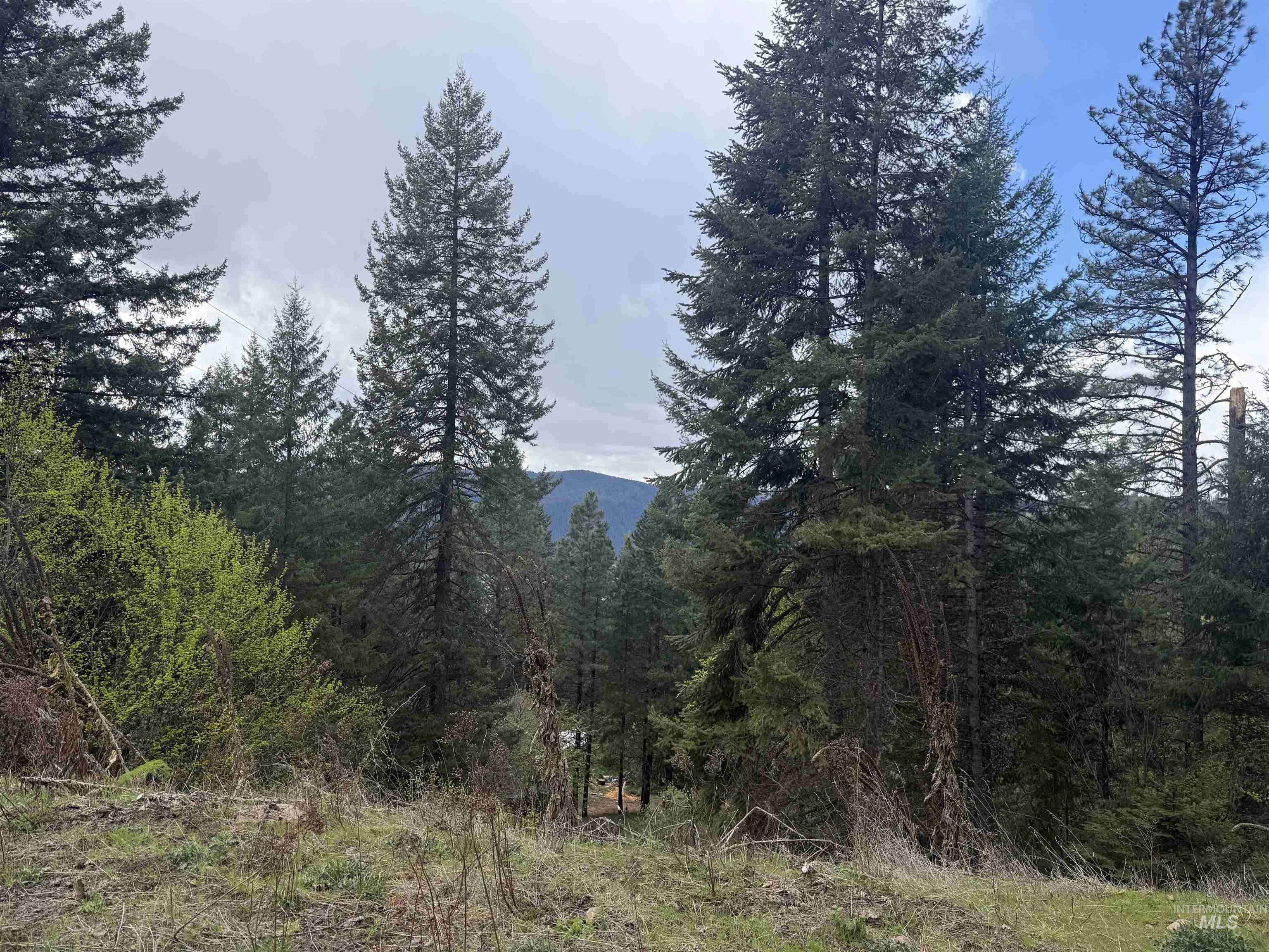 TBD Lakeview Rd, Orofino, Idaho 83544, Land For Sale, Price $150,000, 98983808