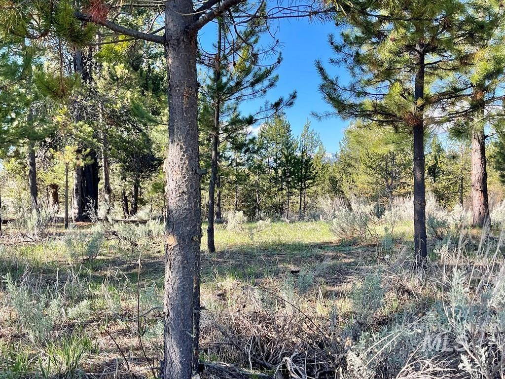 435 Wilhelm Creek Court, McCall, Idaho 83638, Land For Sale, Price $219,000, 98983819