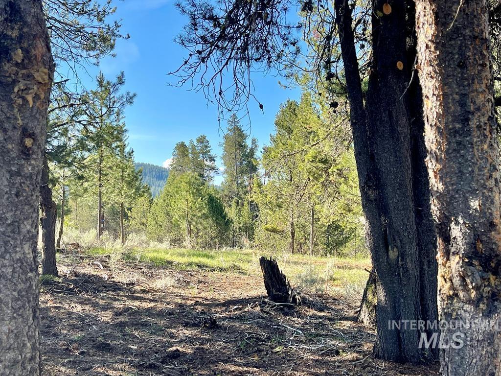 435 Wilhelm Creek Court, McCall, Idaho 83638, Land For Sale, Price $219,000, 98983819