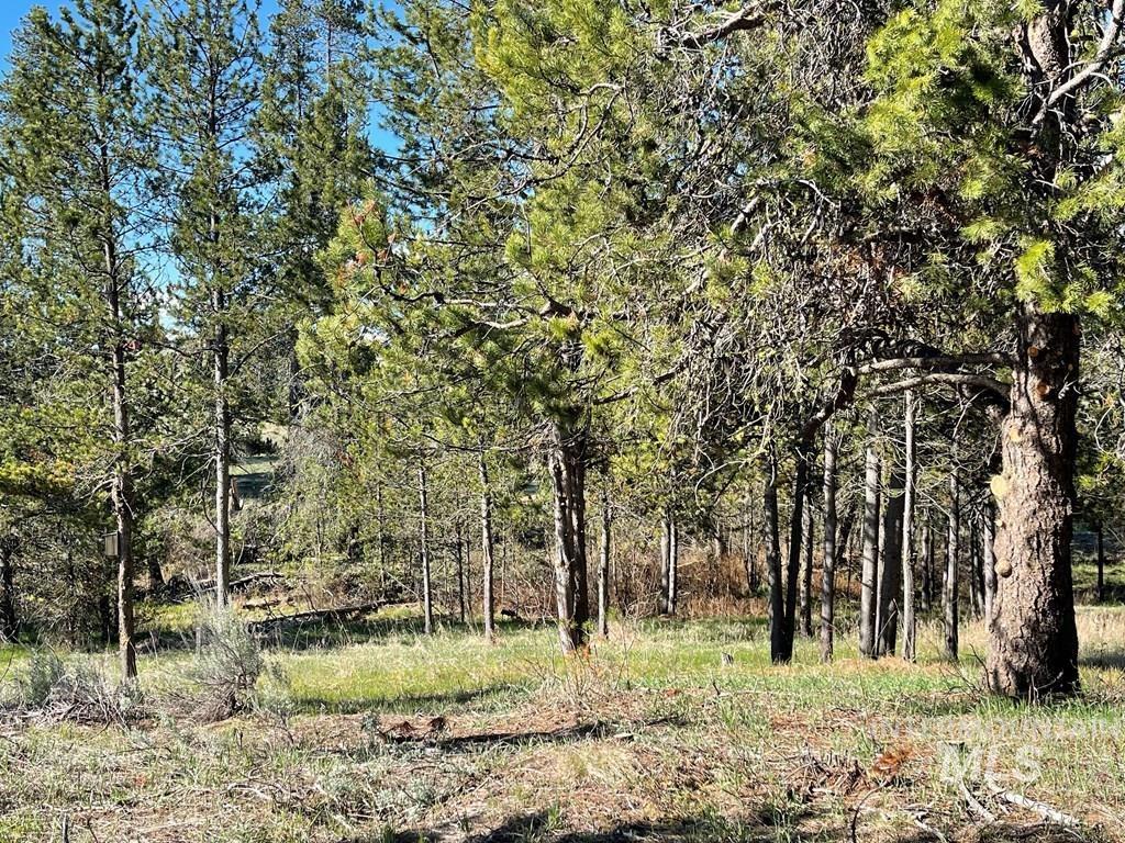 435 Wilhelm Creek Court, McCall, Idaho 83638, Land For Sale, Price $219,000, 98983819
