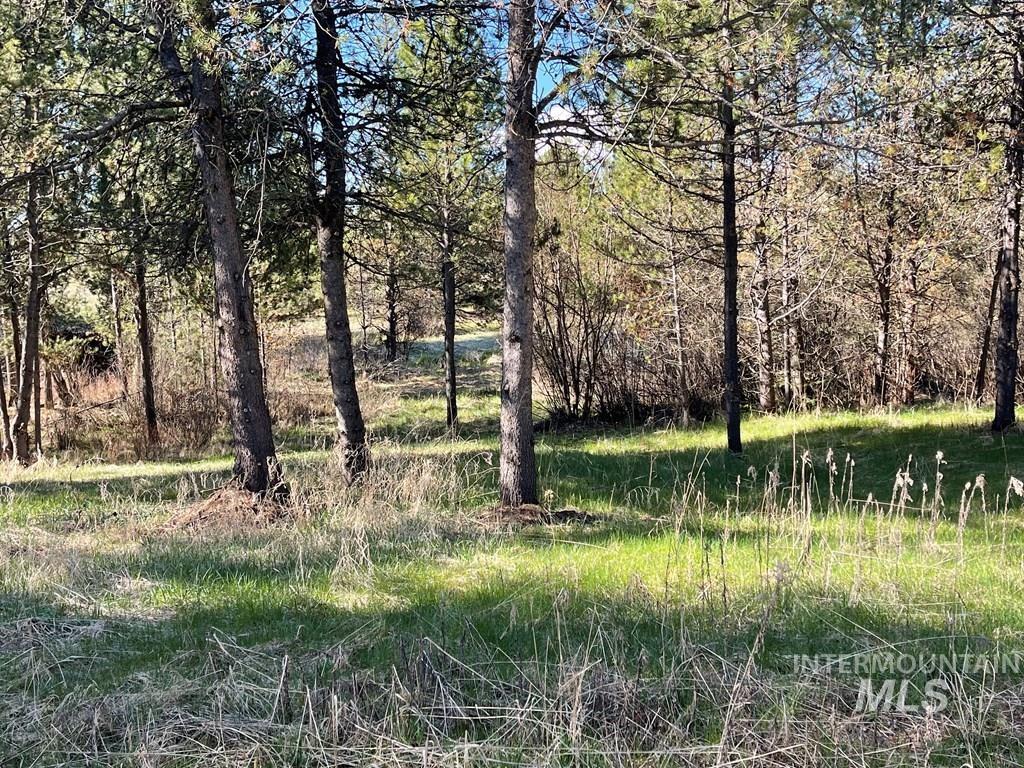 435 Wilhelm Creek Court, McCall, Idaho 83638, Land For Sale, Price $219,000, 98983819