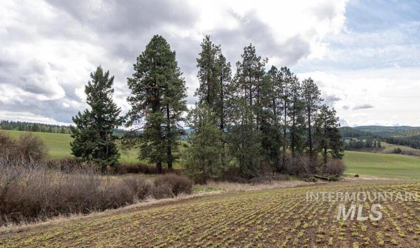 NKA Clifford Rd, Princeton, Idaho 83857, Land For Sale, Price $250,000, 98983823