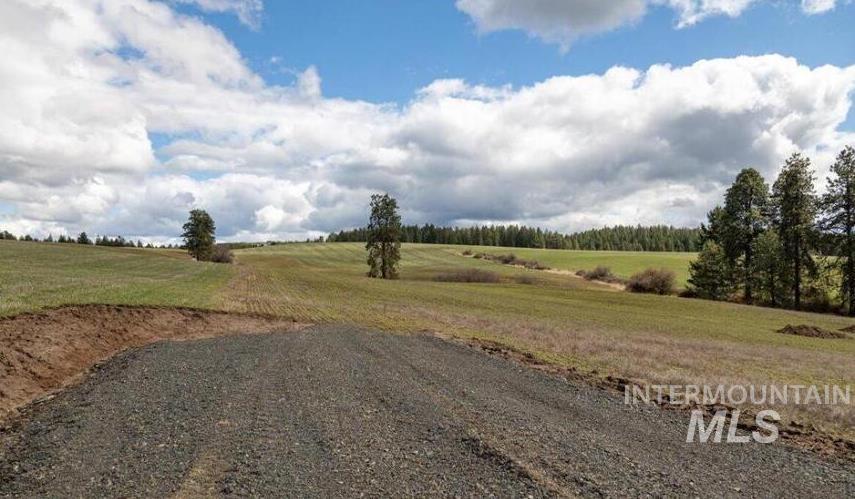 NKA Clifford Rd, Princeton, Idaho 83857, Land For Sale, Price $250,000, 98983823