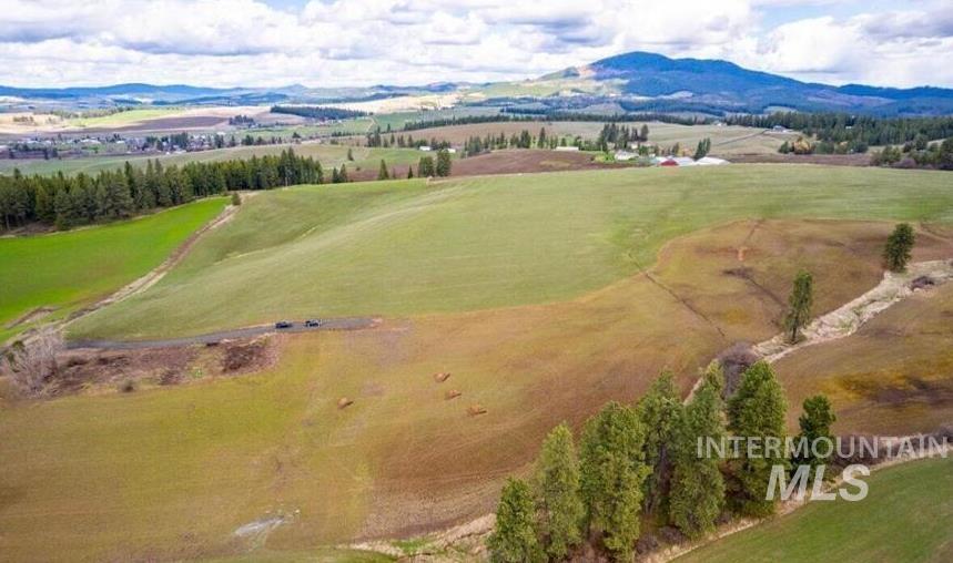 NKA Clifford Rd, Princeton, Idaho 83857, Land For Sale, Price $250,000, 98983823