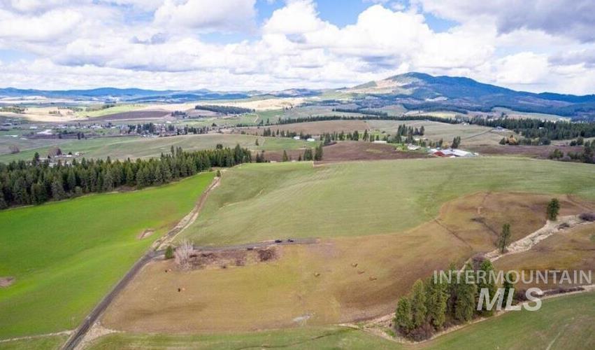 NKA Clifford Rd, Princeton, Idaho 83857, Land For Sale, Price $250,000, 98983823