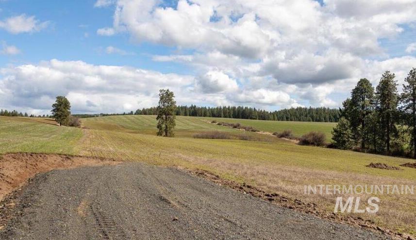 NKA Clifford Rd, Princeton, Idaho 83857, Land For Sale, Price $250,000, 98983823