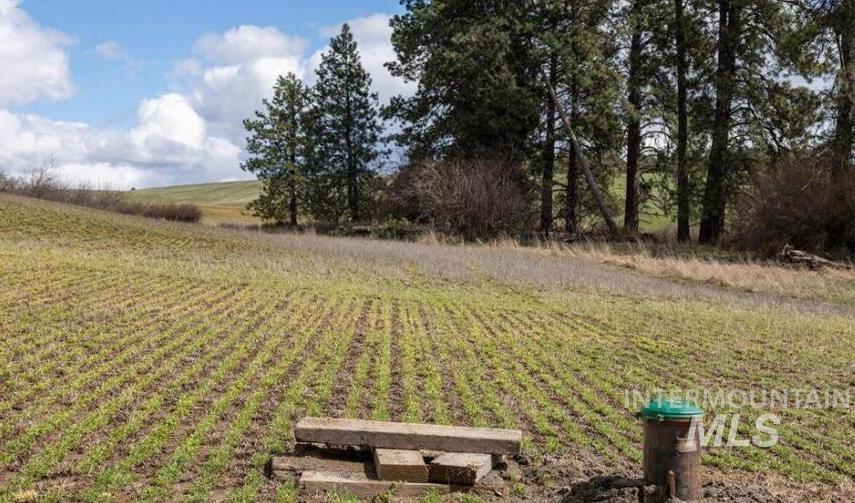 NKA Clifford Rd, Princeton, Idaho 83857, Land For Sale, Price $250,000, 98983823