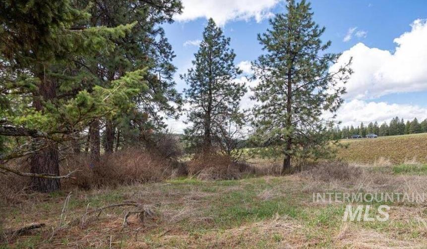 NKA Clifford Rd, Princeton, Idaho 83857, Land For Sale, Price $250,000, 98983823
