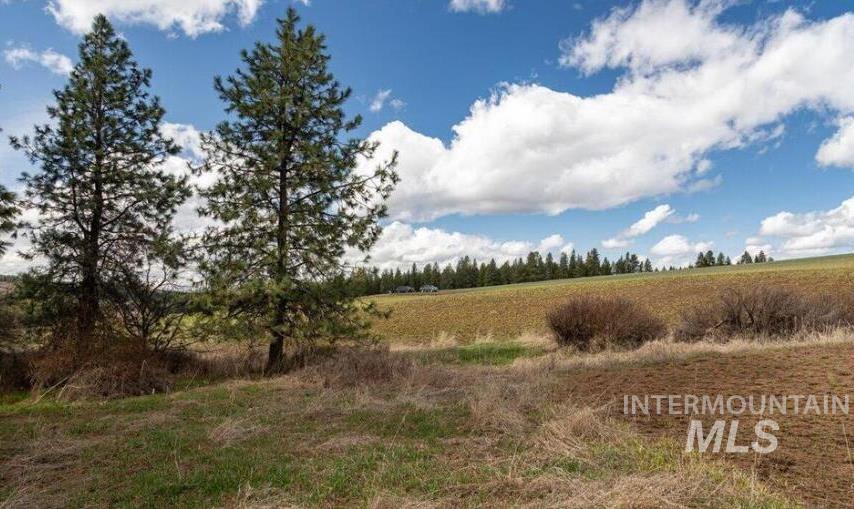 NKA Clifford Rd, Princeton, Idaho 83857, Land For Sale, Price $250,000, 98983823