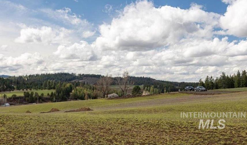 NKA Clifford Rd, Princeton, Idaho 83857, Land For Sale, Price $250,000, 98983823