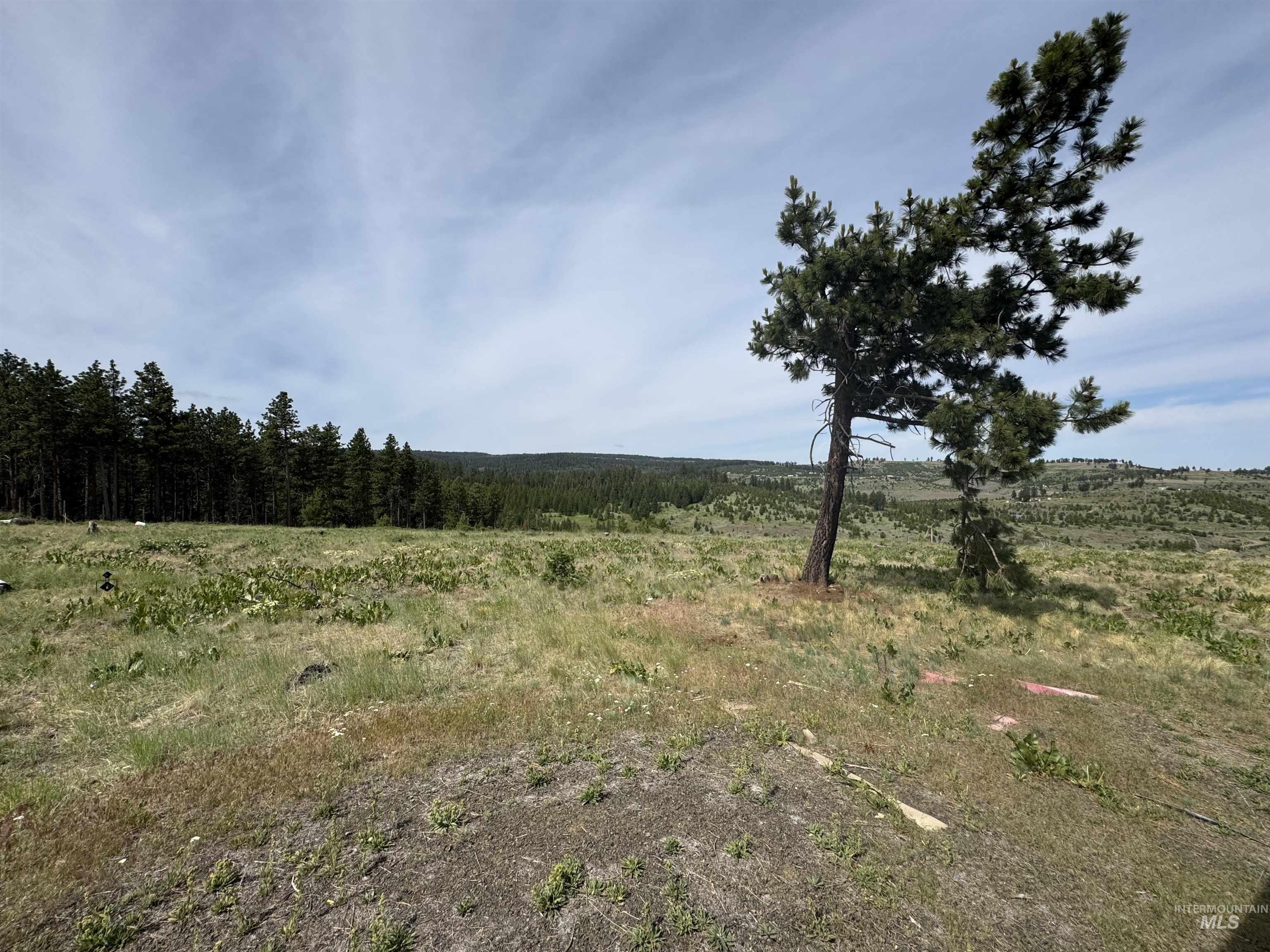 100 Rock Hill Rd, Pomeroy, Washington 99347, 0.5 Bathroom, Residential For Sale, Price $185,000, 98983829