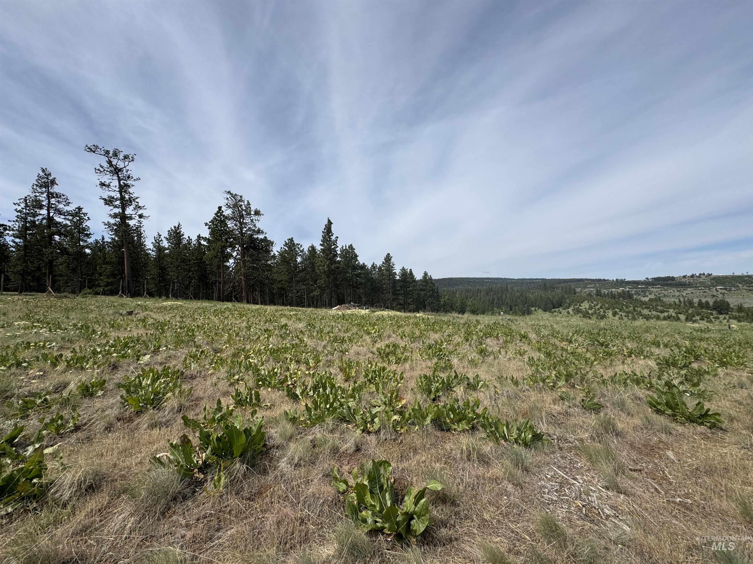 100 Rock Hill Rd, Pomeroy, Washington 99347, 0.5 Bathroom, Residential For Sale, Price $185,000, 98983829