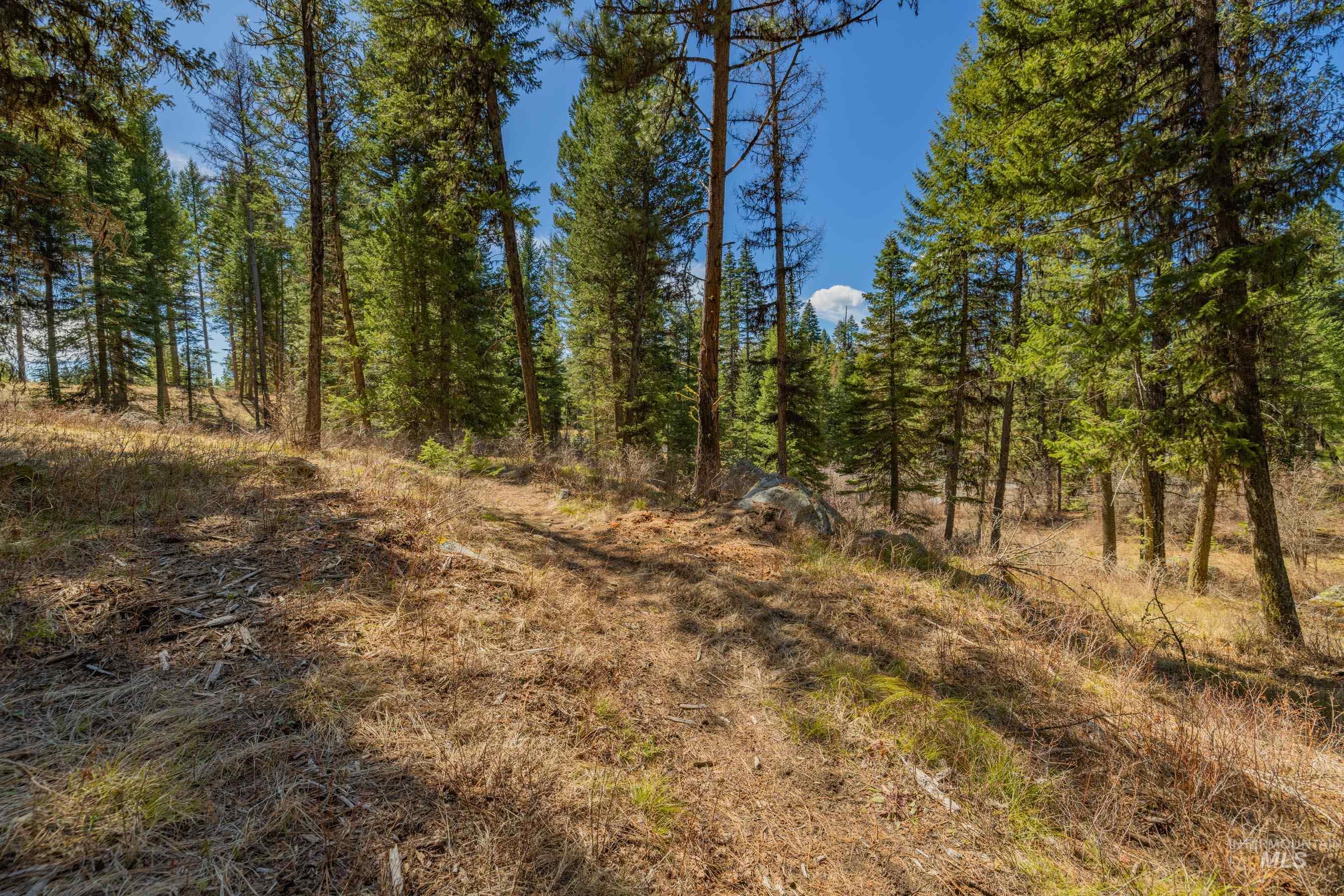 8 York Street, McCall, Idaho 83638, Land For Sale, Price $339,150, 98983837