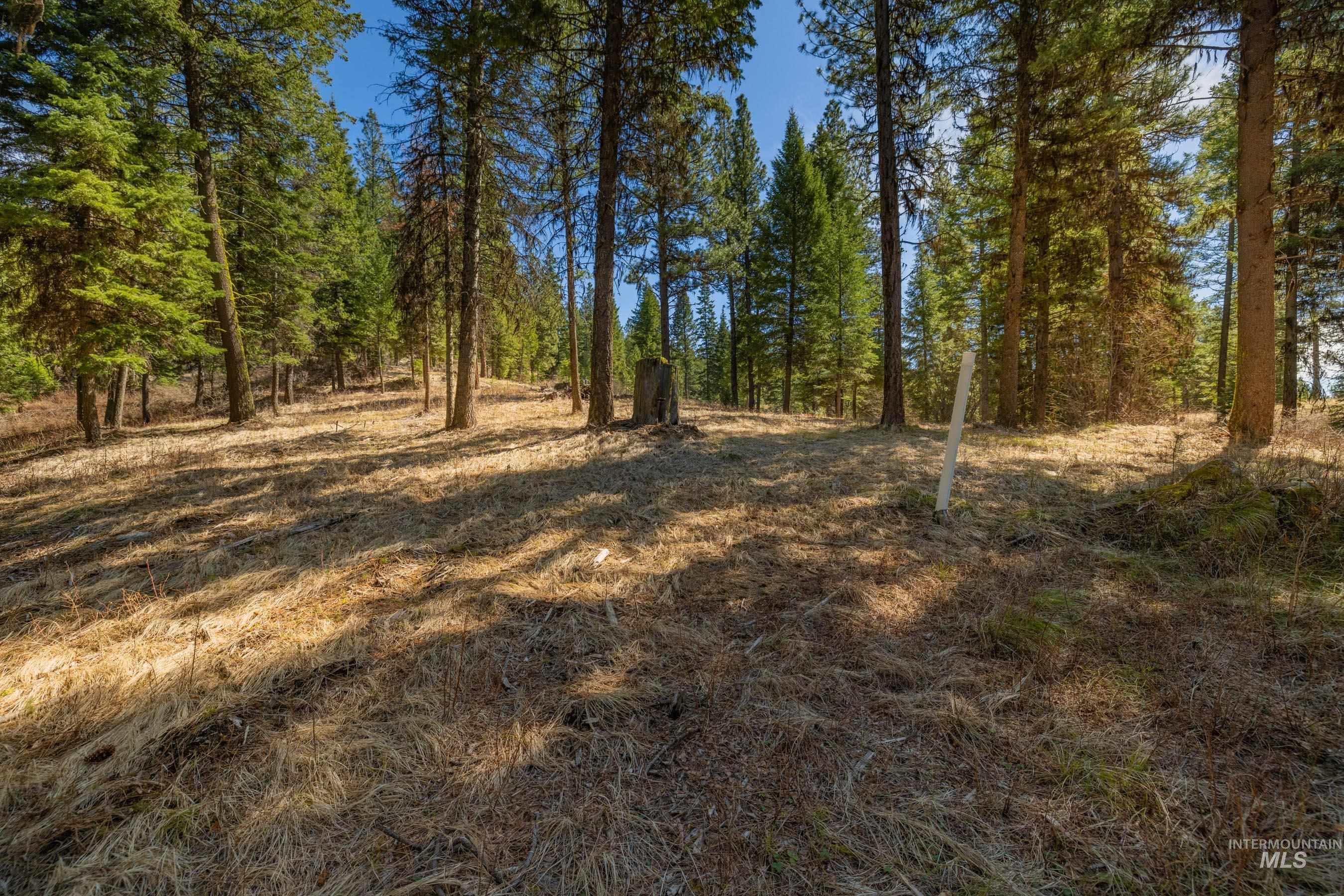 8 York Street, McCall, Idaho 83638, Land For Sale, Price $339,150, 98983837