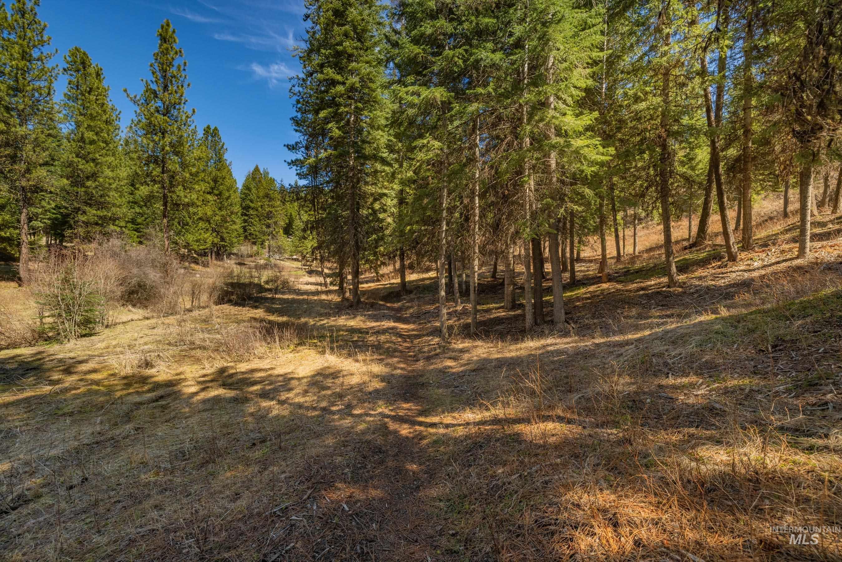 8 York Street, McCall, Idaho 83638, Land For Sale, Price $339,150, 98983837