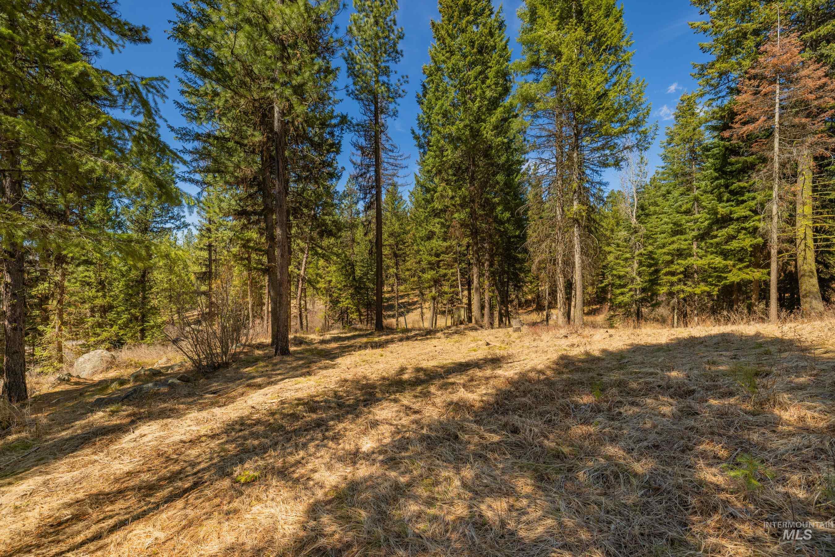 8 York Street, McCall, Idaho 83638, Land For Sale, Price $339,150, 98983837