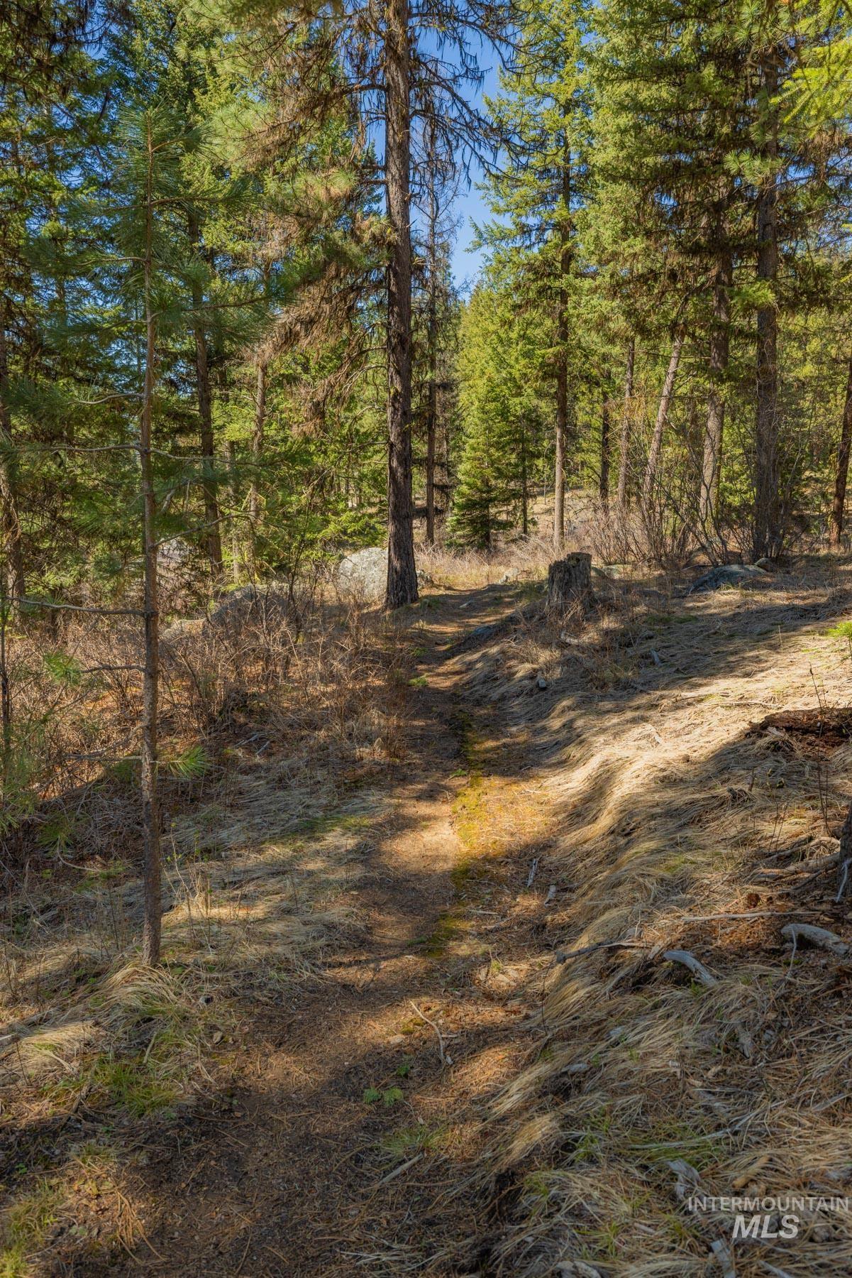 8 York Street, McCall, Idaho 83638, Land For Sale, Price $339,150, 98983837