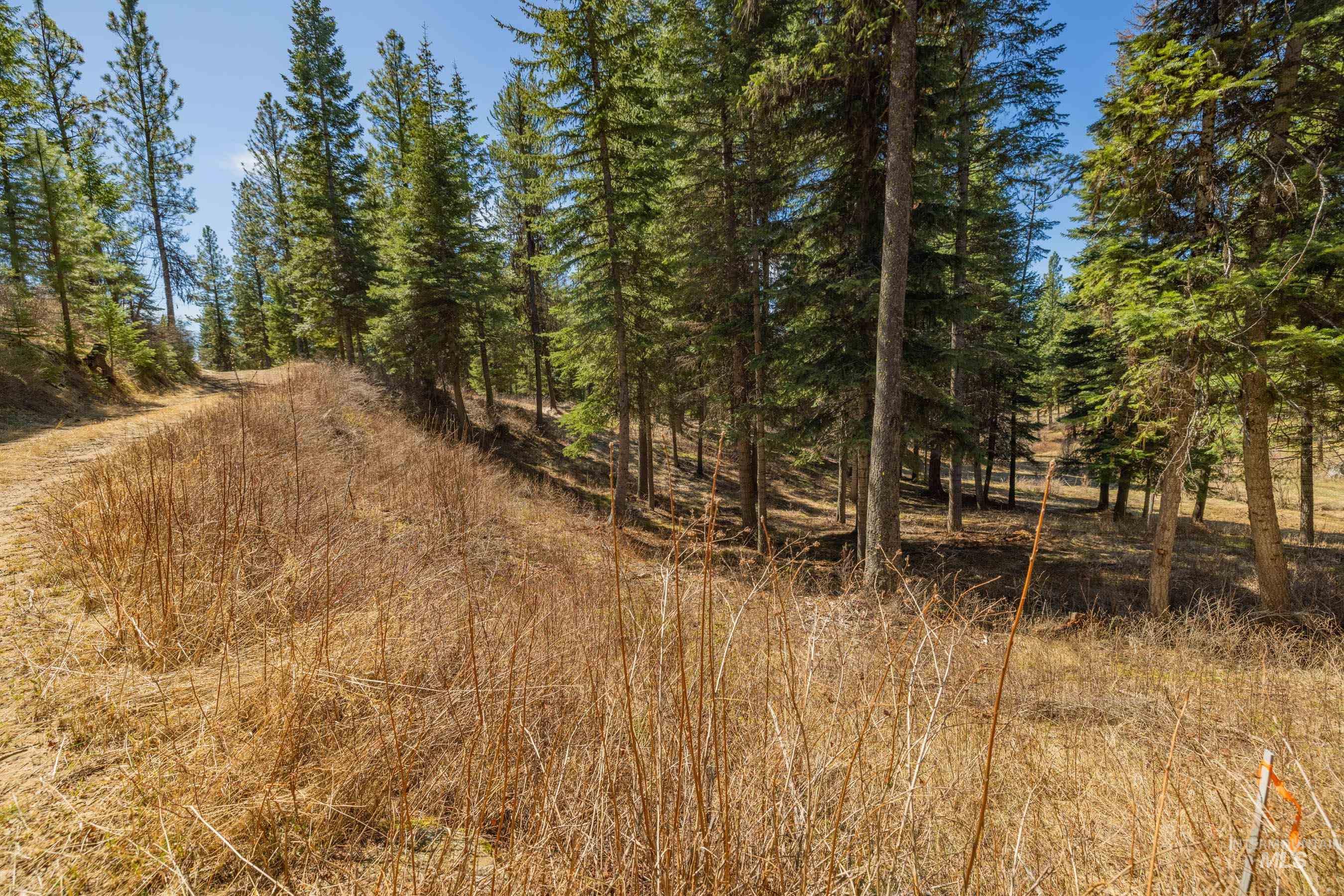 8 York Street, McCall, Idaho 83638, Land For Sale, Price $339,150, 98983837